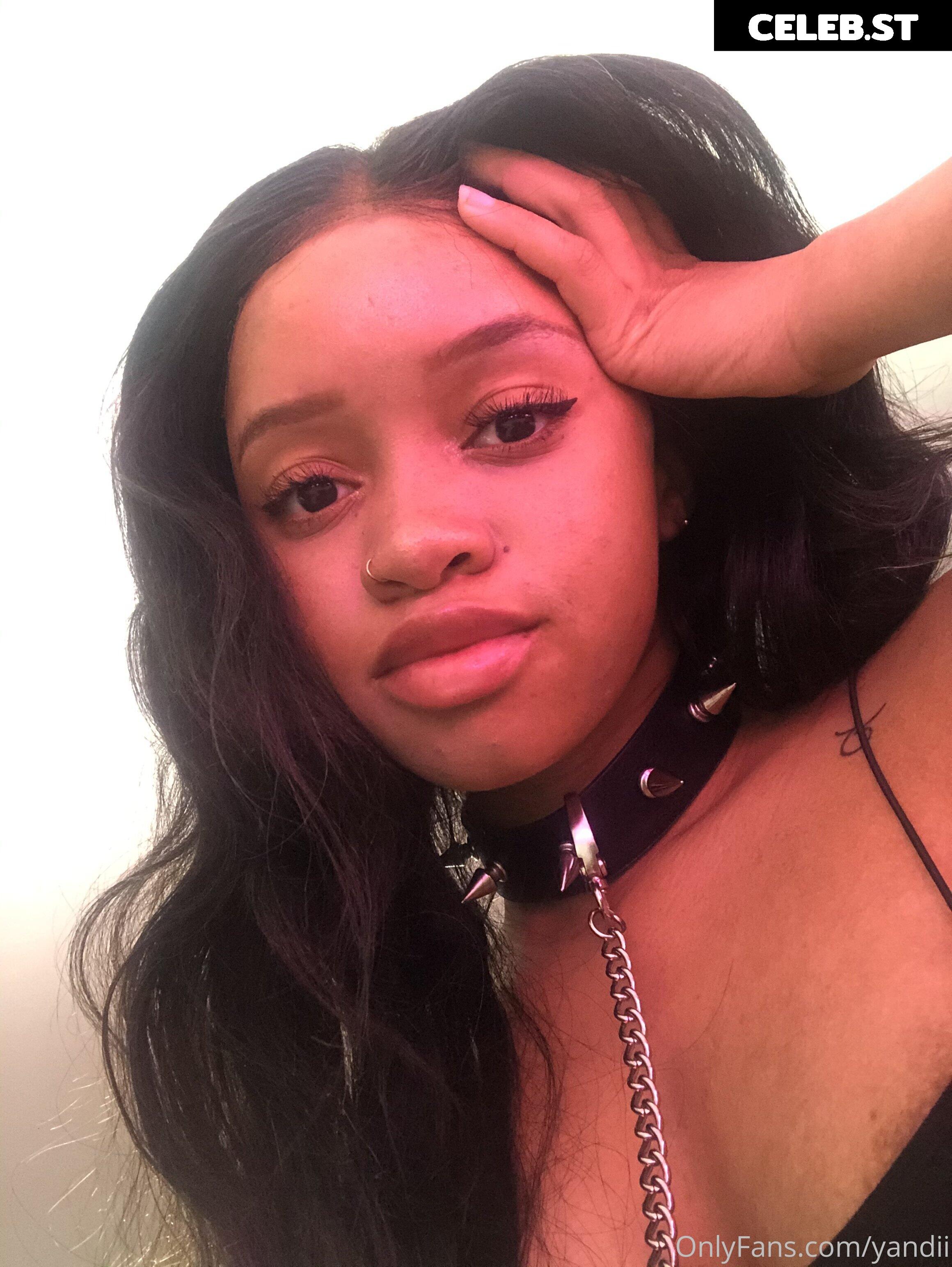 Yandii / yanditheunicorn / The Zulu Unicorn Image 12052180