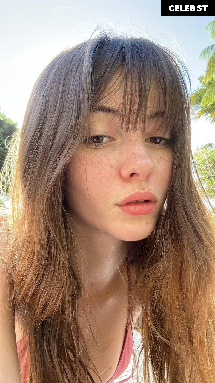 Sephira Lily Street / Kingsephi Image 12063555