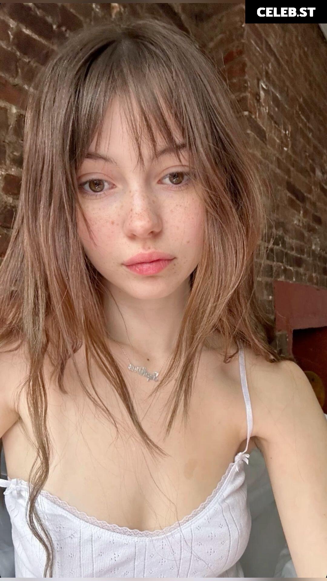 Sephira Lily Street / Kingsephi Image 12063400