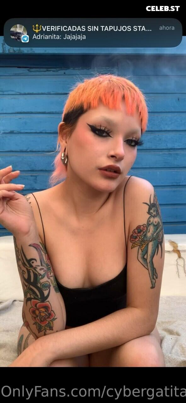 felinebitx / itsfelinebtx / cybergatita69 Image 12062103