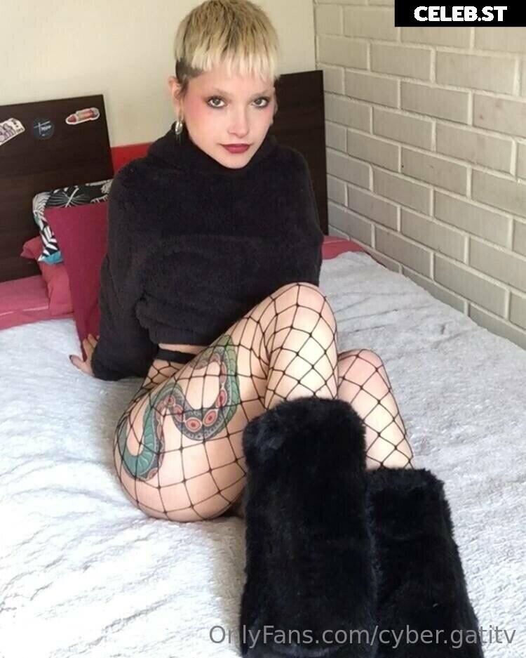 felinebitx / itsfelinebtx / cybergatita69 Image 12062023