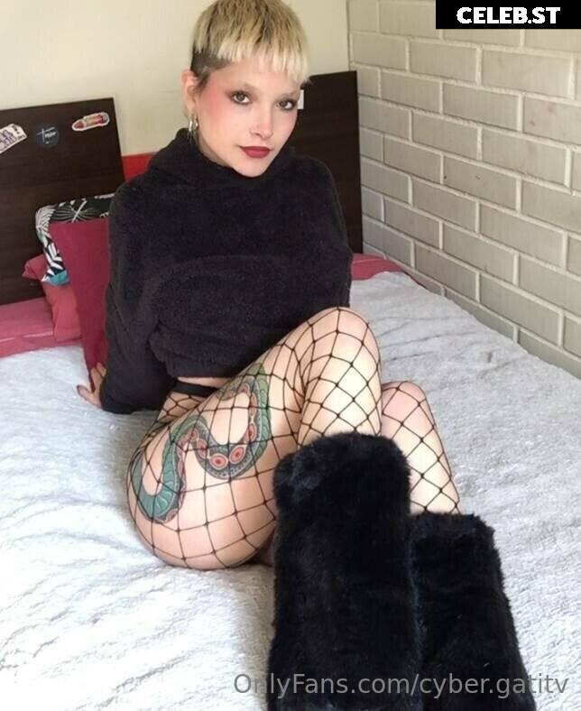 felinebitx / itsfelinebtx / cybergatita69 Image 12062025