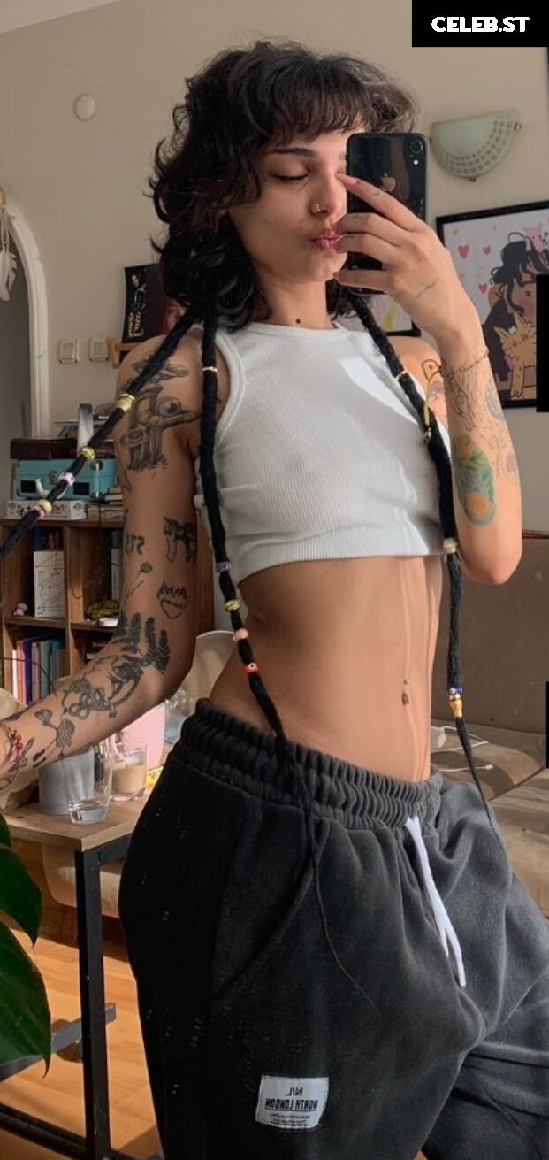 Cicigüner Image 12069961