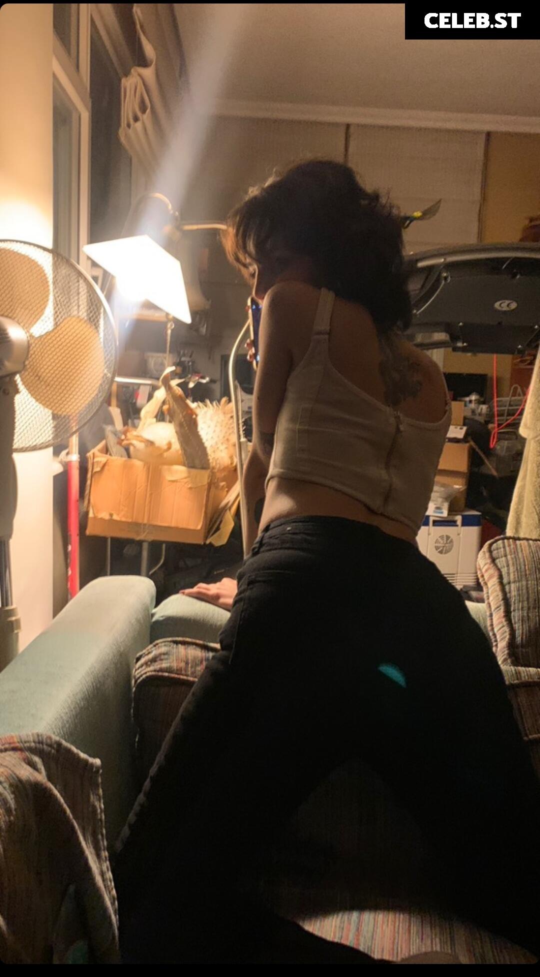 Cicigüner Image 12070079