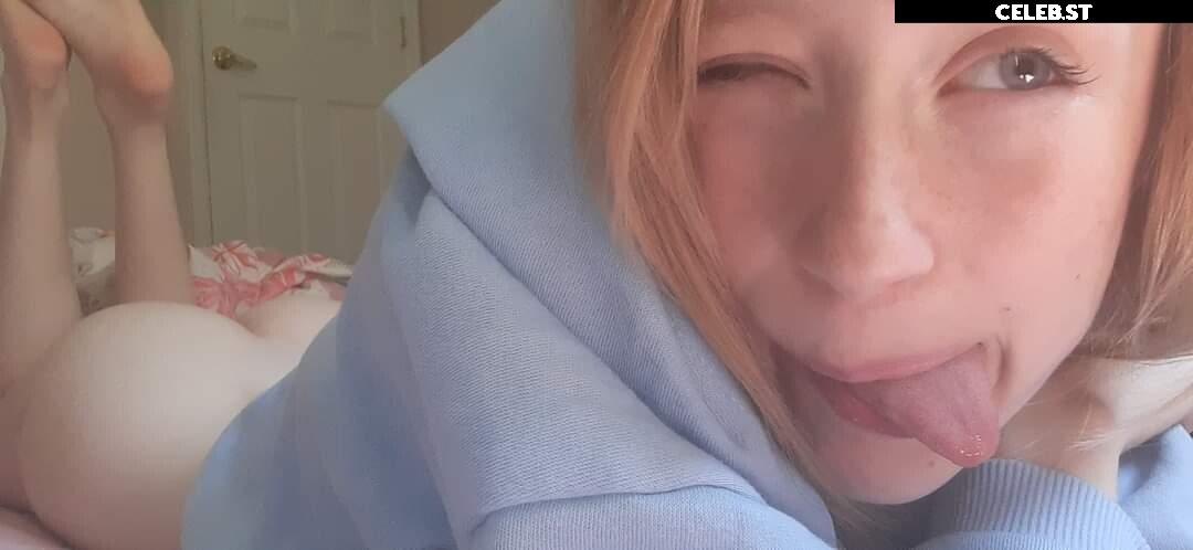 lemoncatus Image 12072194