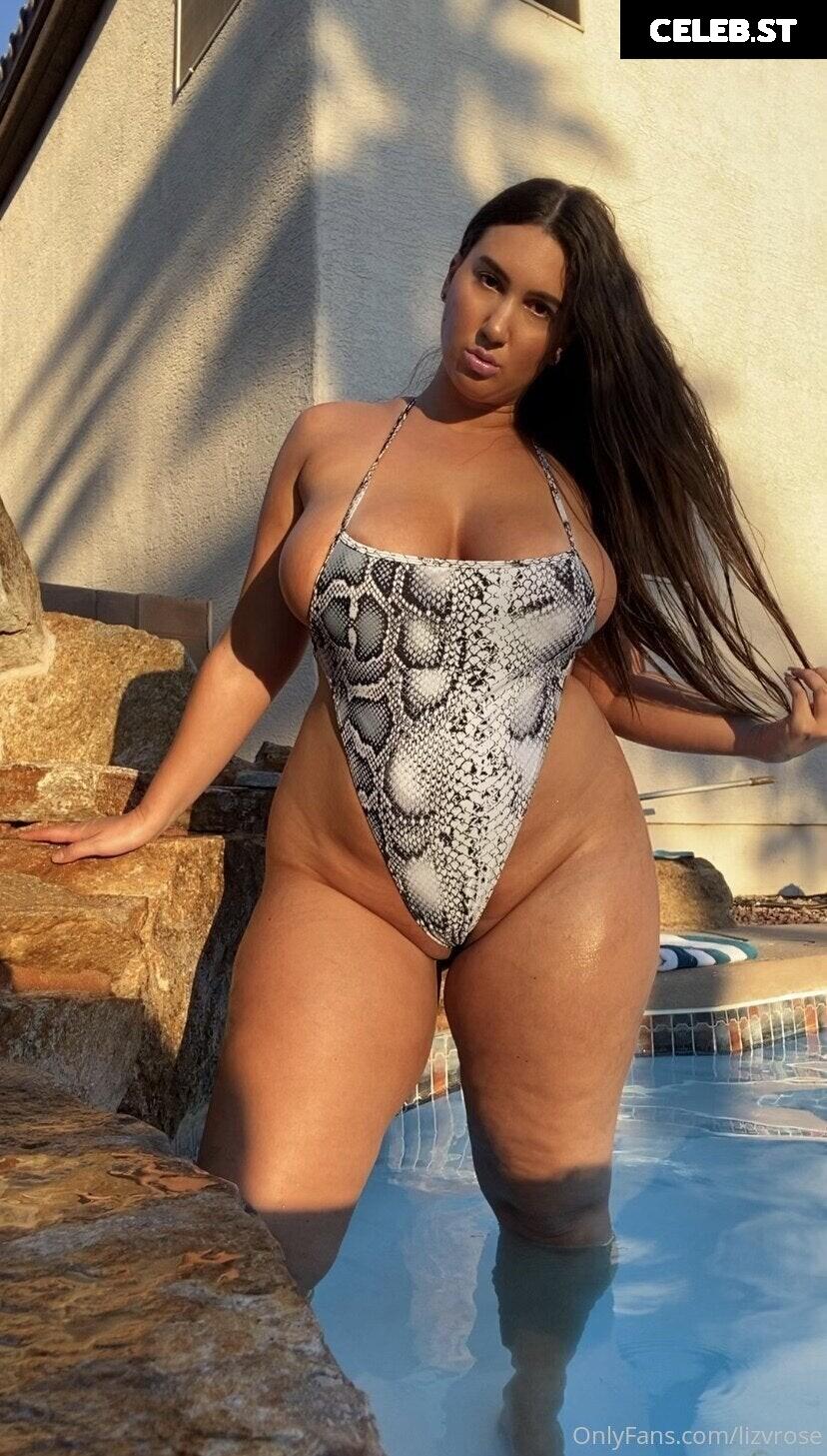 LizVRose Image 12046395