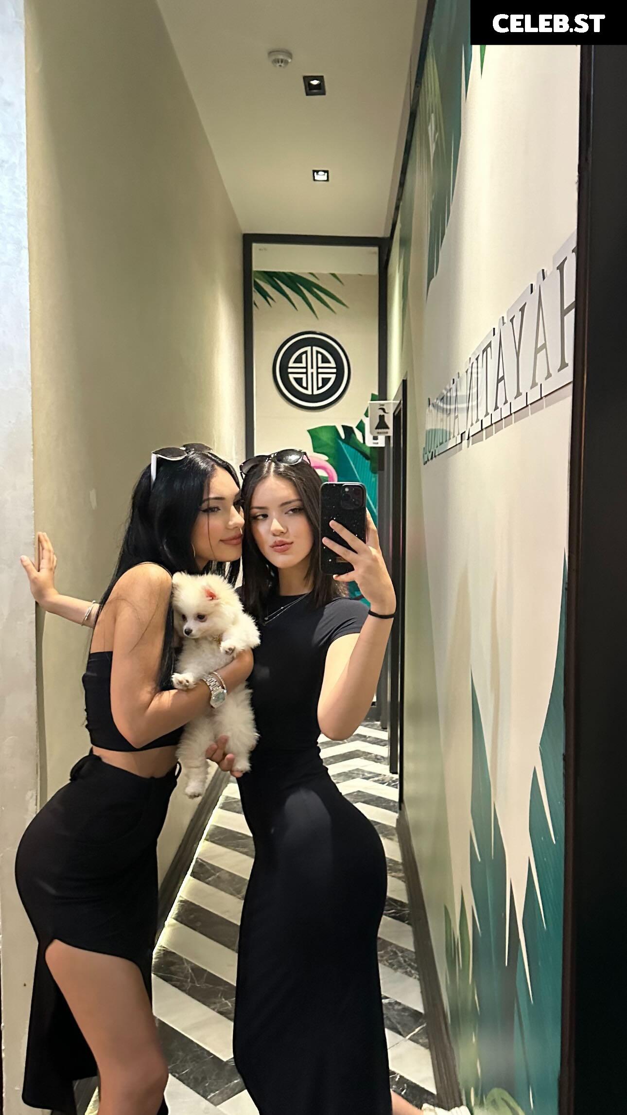 sedaaa026 Image 12040812