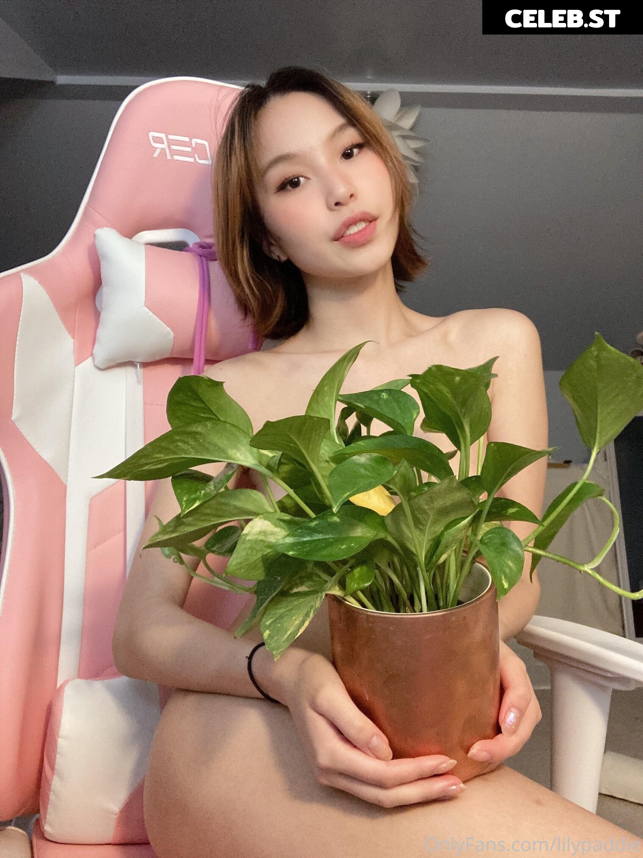 Lilypaddie / animelily Image 12017286