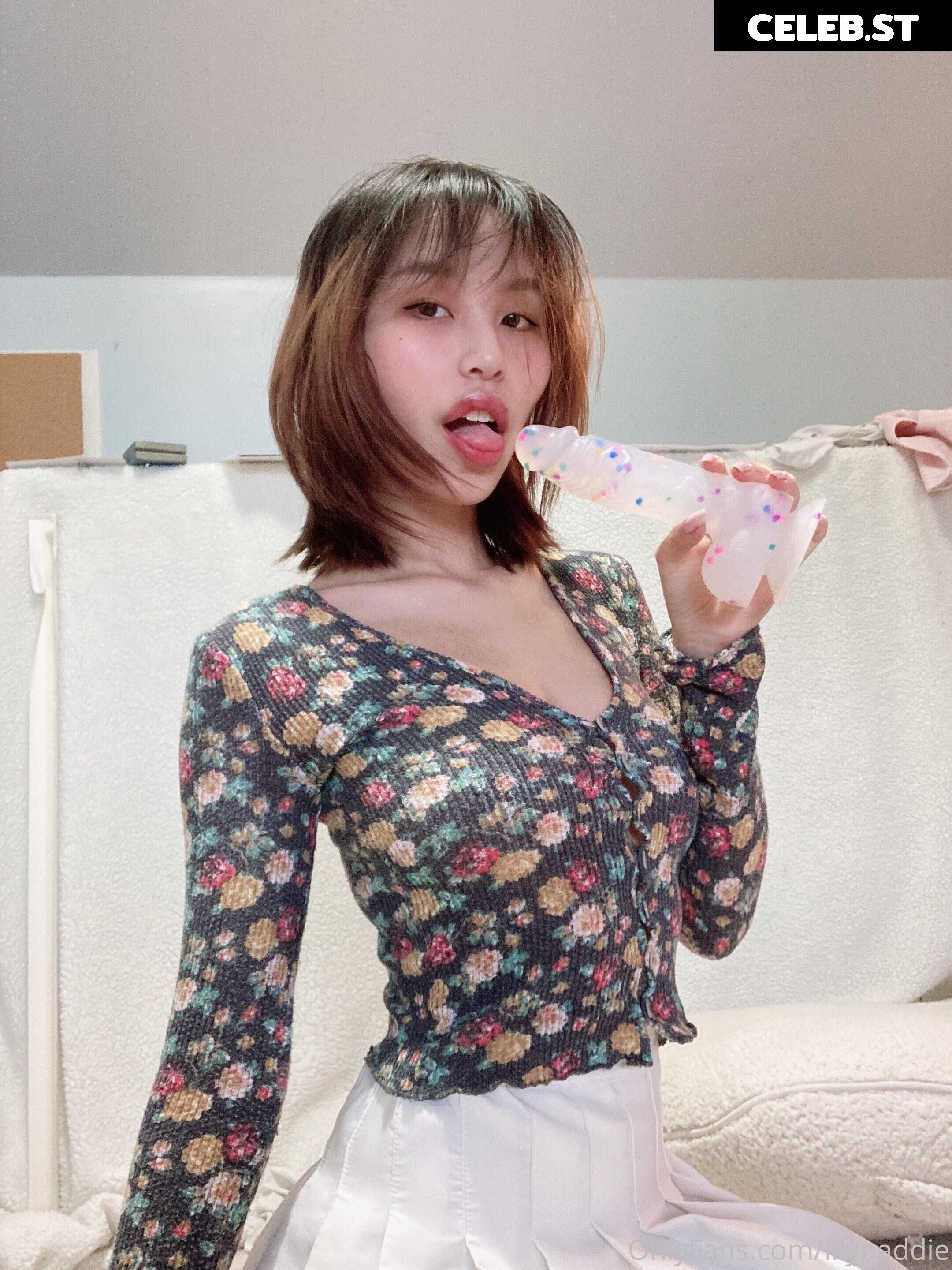 Lilypaddie / animelily Image 12017252