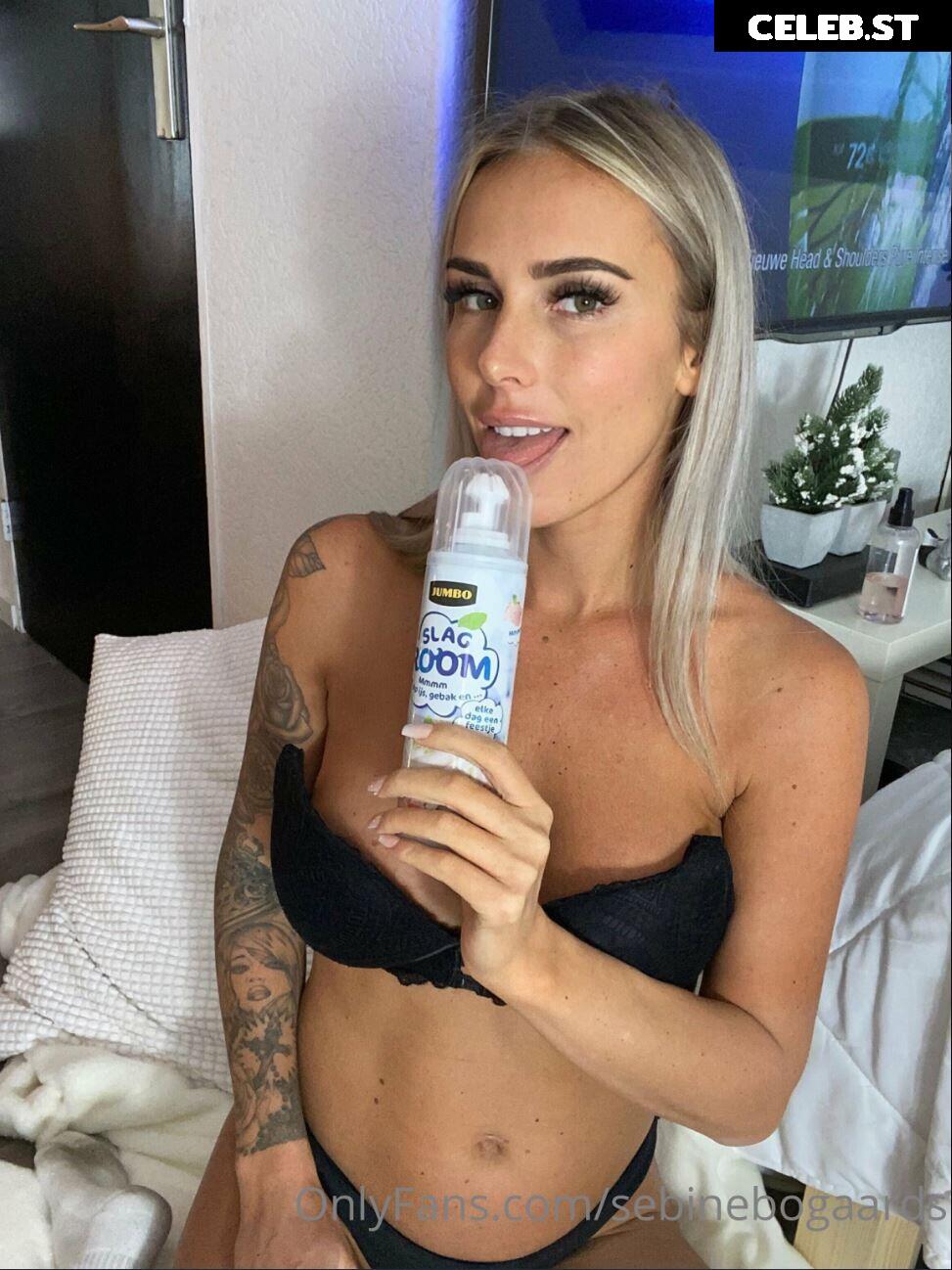 Sebine Bogaards / sebinebogaards Image 12025827