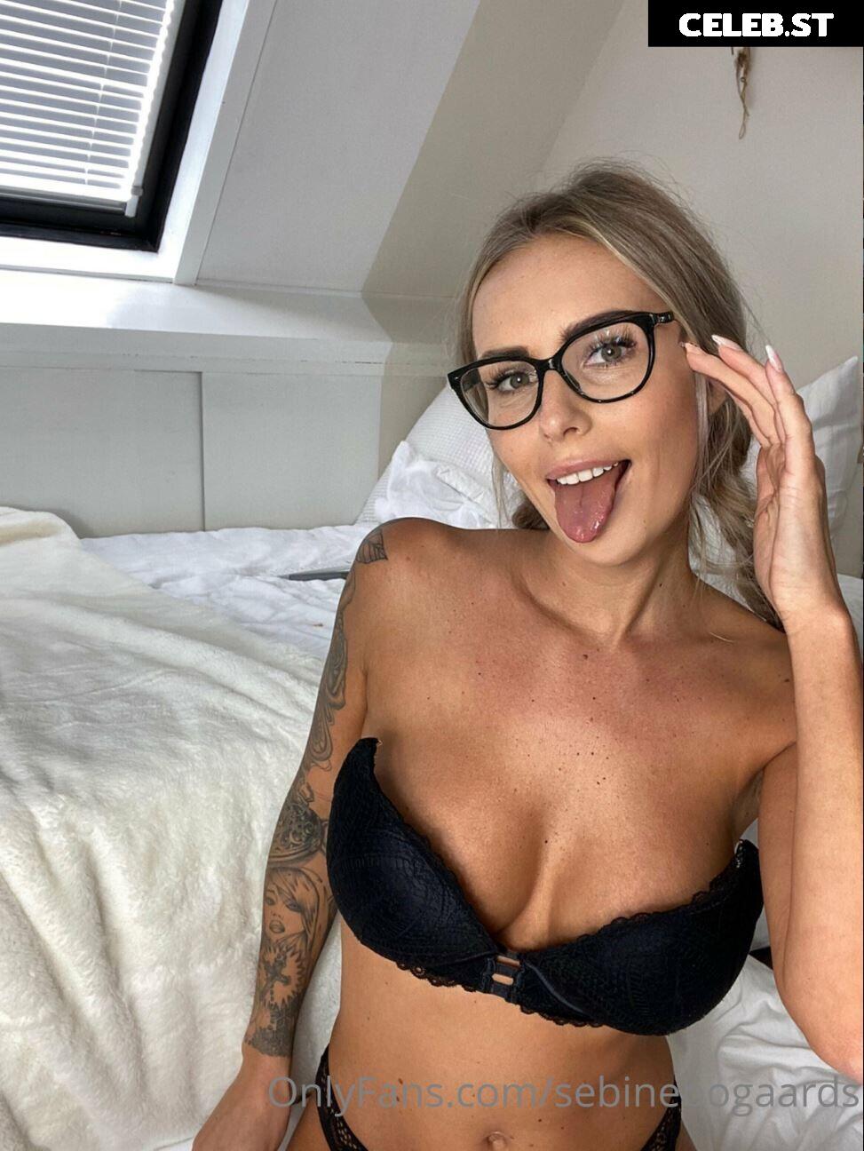 Sebine Bogaards / sebinebogaards Image 12025837