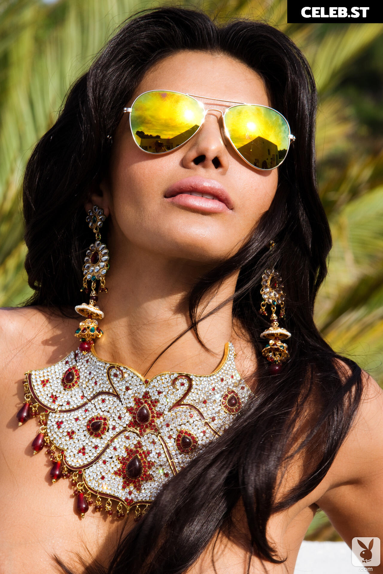 Sherlyn Chopra Image 12020611