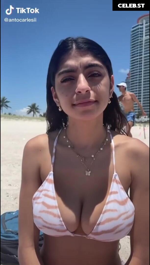 Antocarlesii Image 12008075