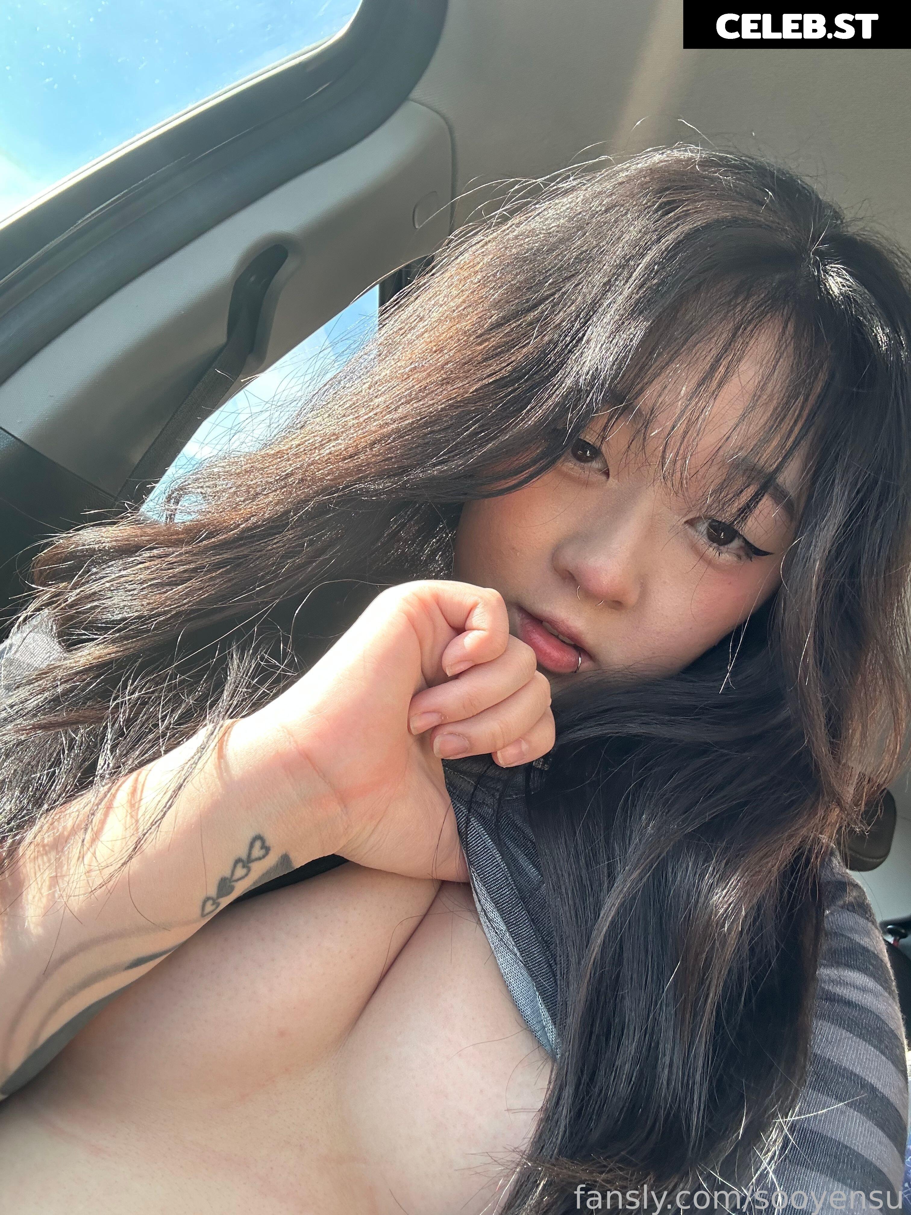 sooyensu Image 120046