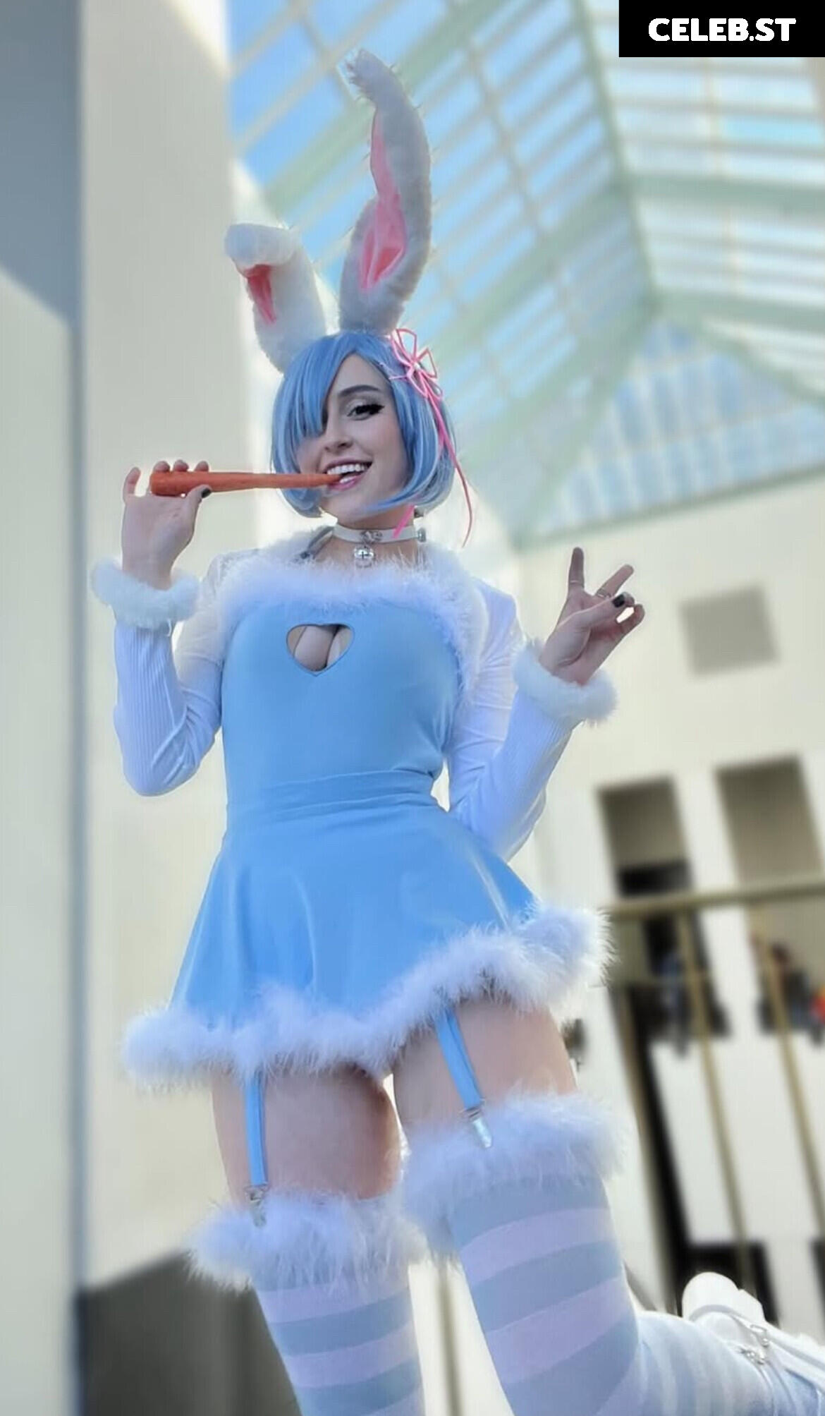 Usagi_Island Image 12001220