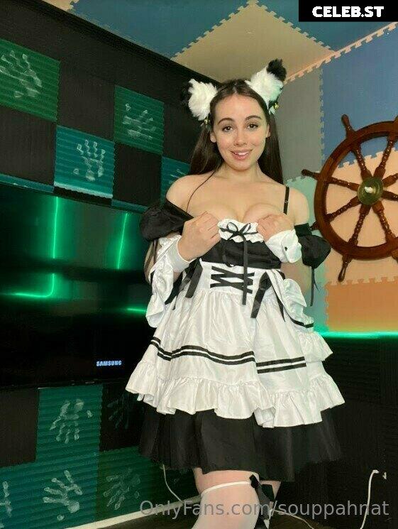 Souppahnat Image 12083969