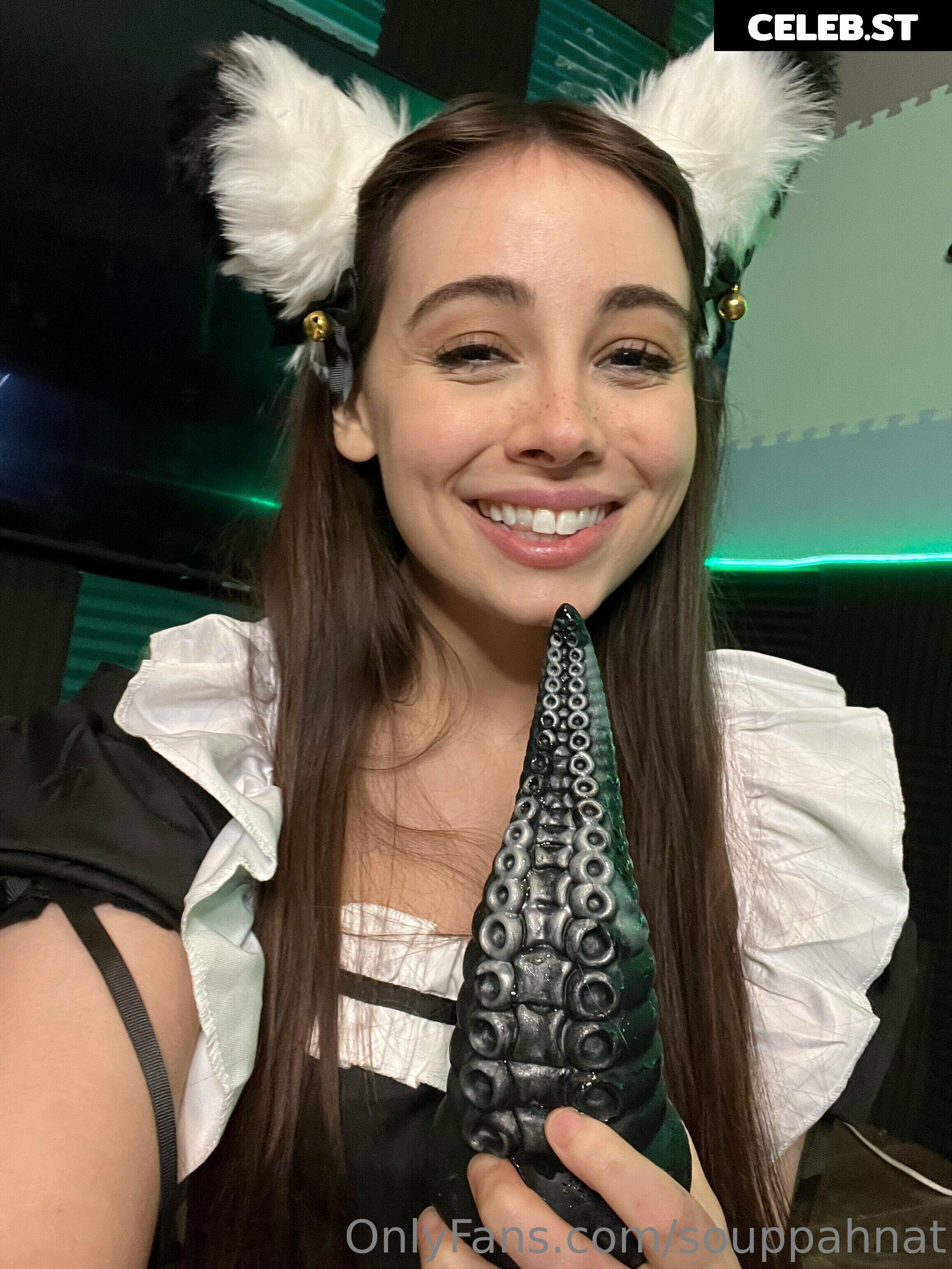 Souppahnat Image 12083976