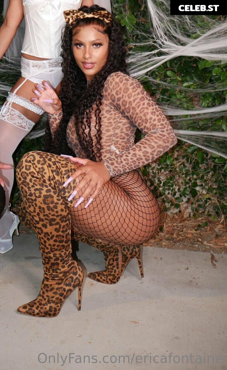 Erica Fontaine Image 12089409