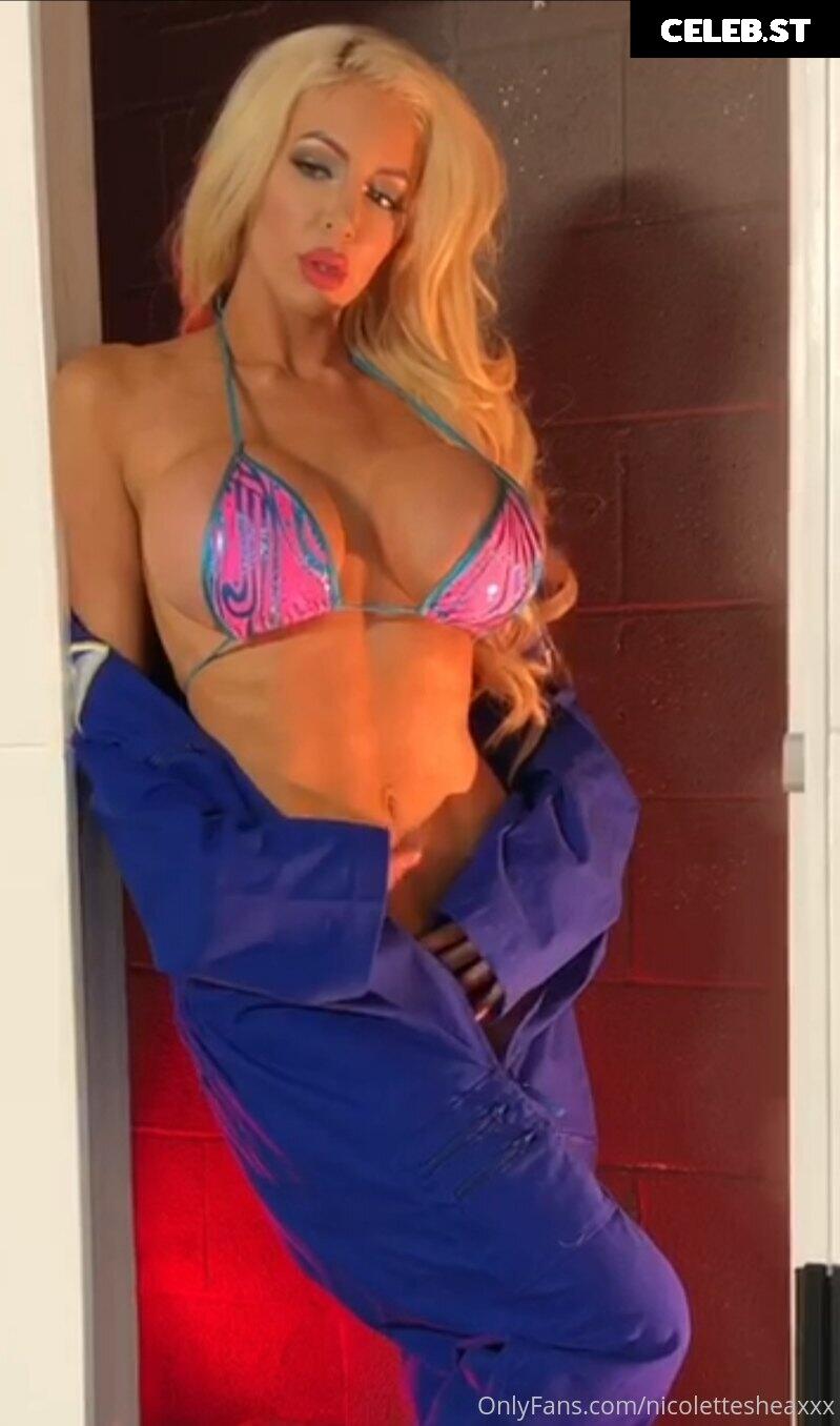 Nicolette Shea Image 1395162