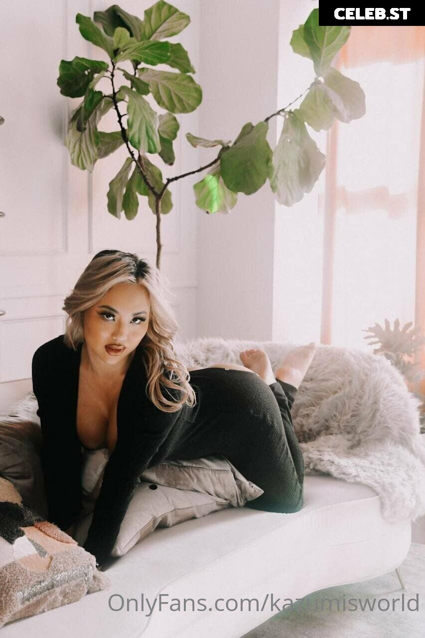 kazumisworld Image 13901595