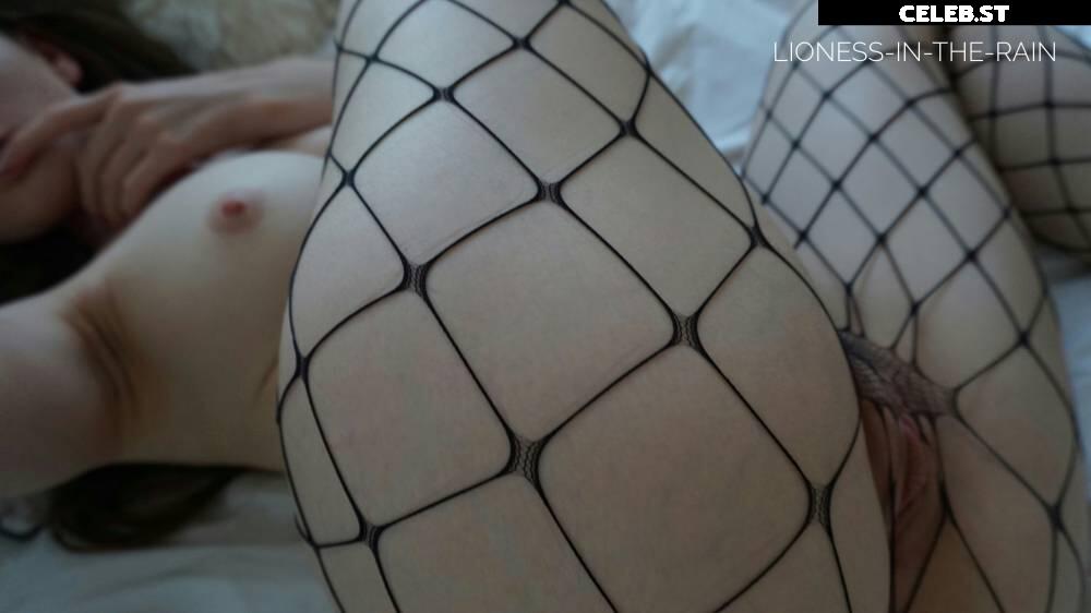 Lioness in the Rain Image 138985