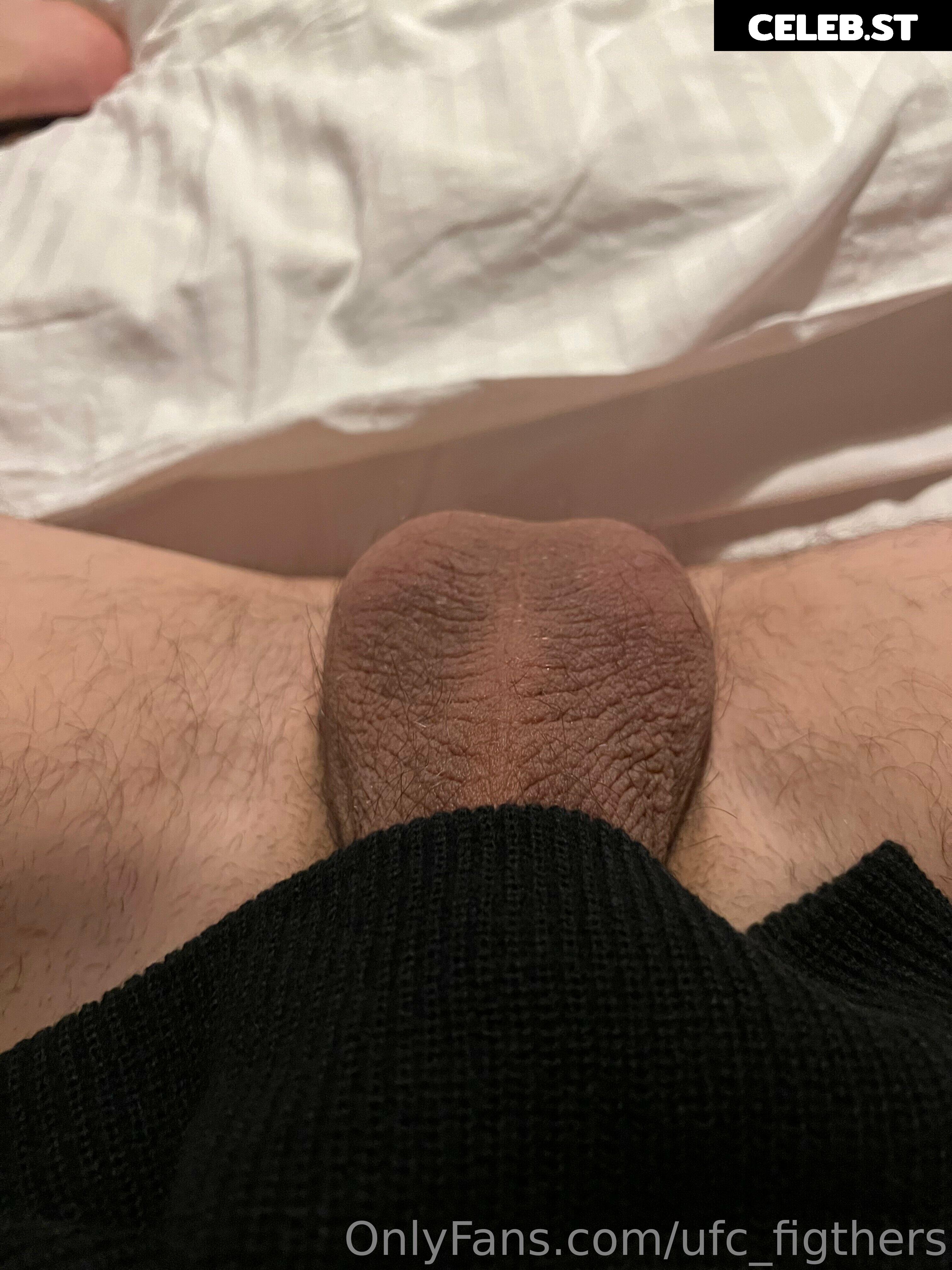 spanish_hunk Image 13619307
