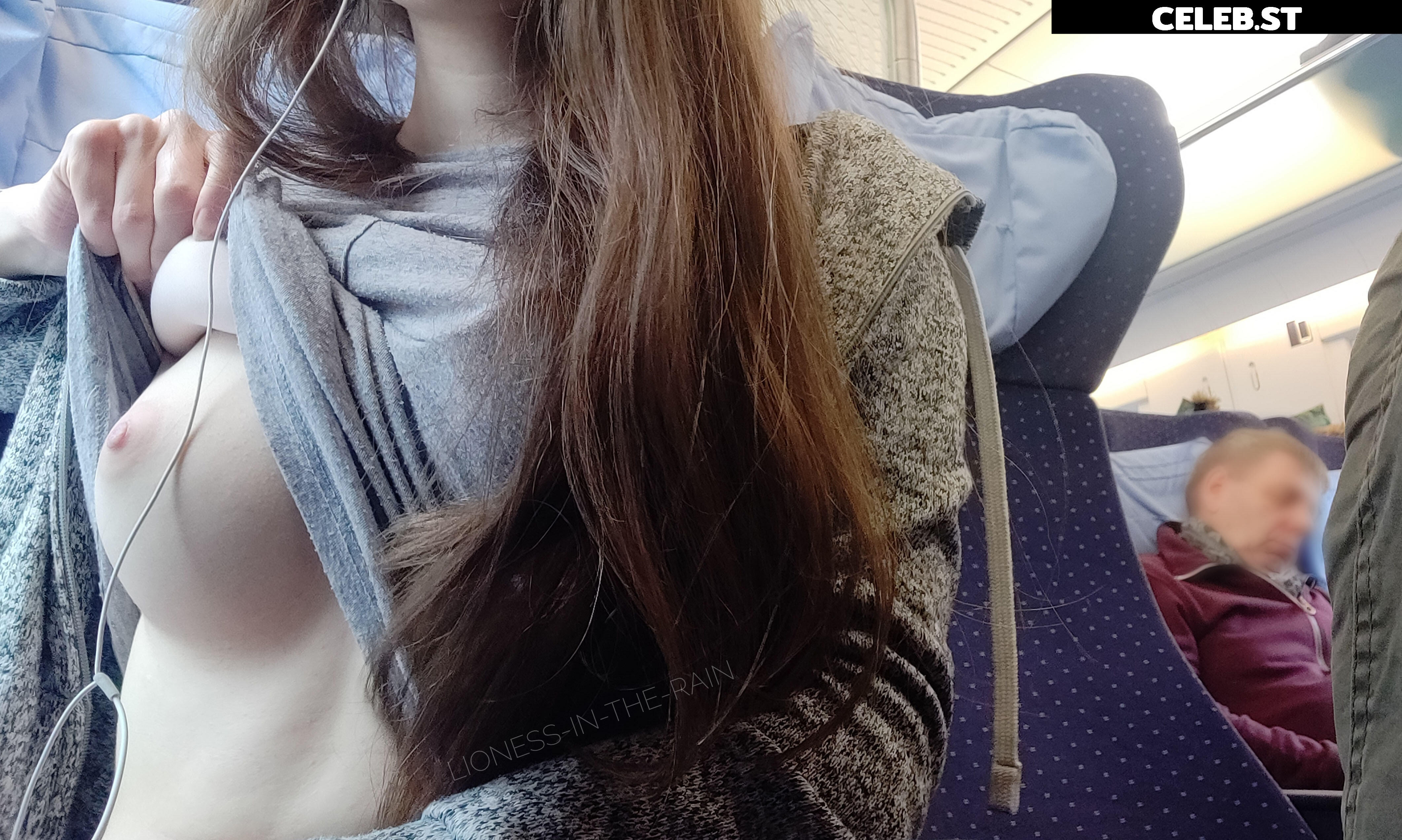 Lioness in the Rain Image 136084