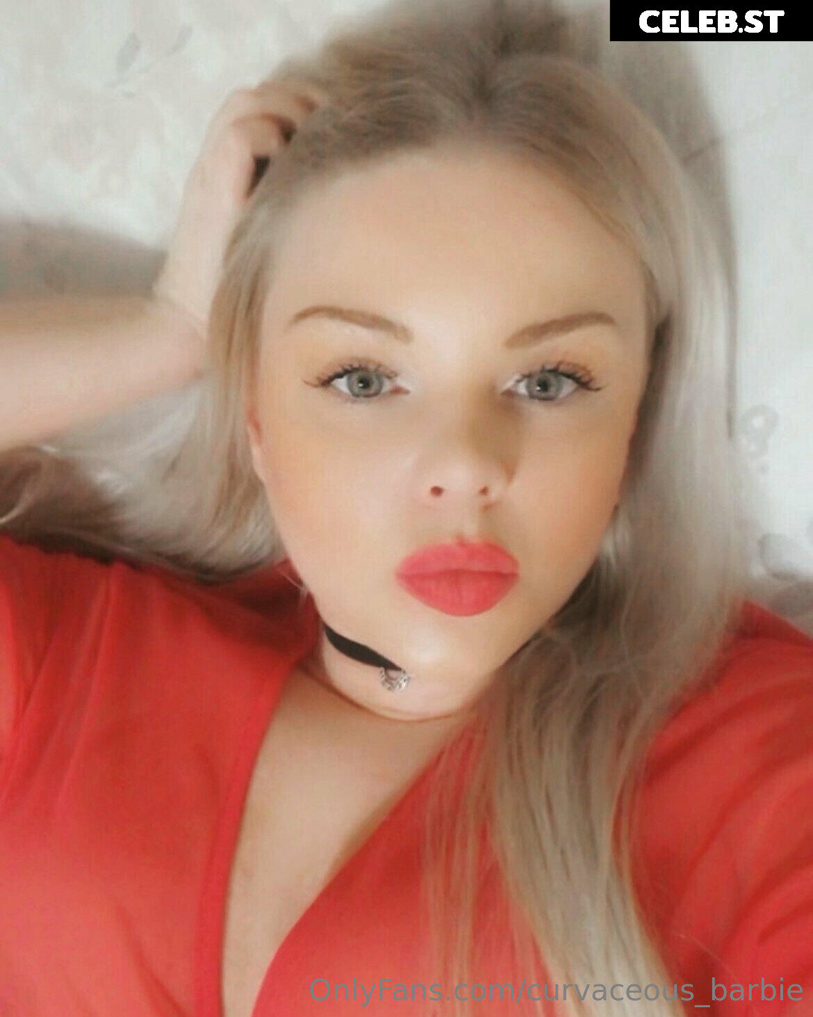 curvaceous_barbie Image 13575347