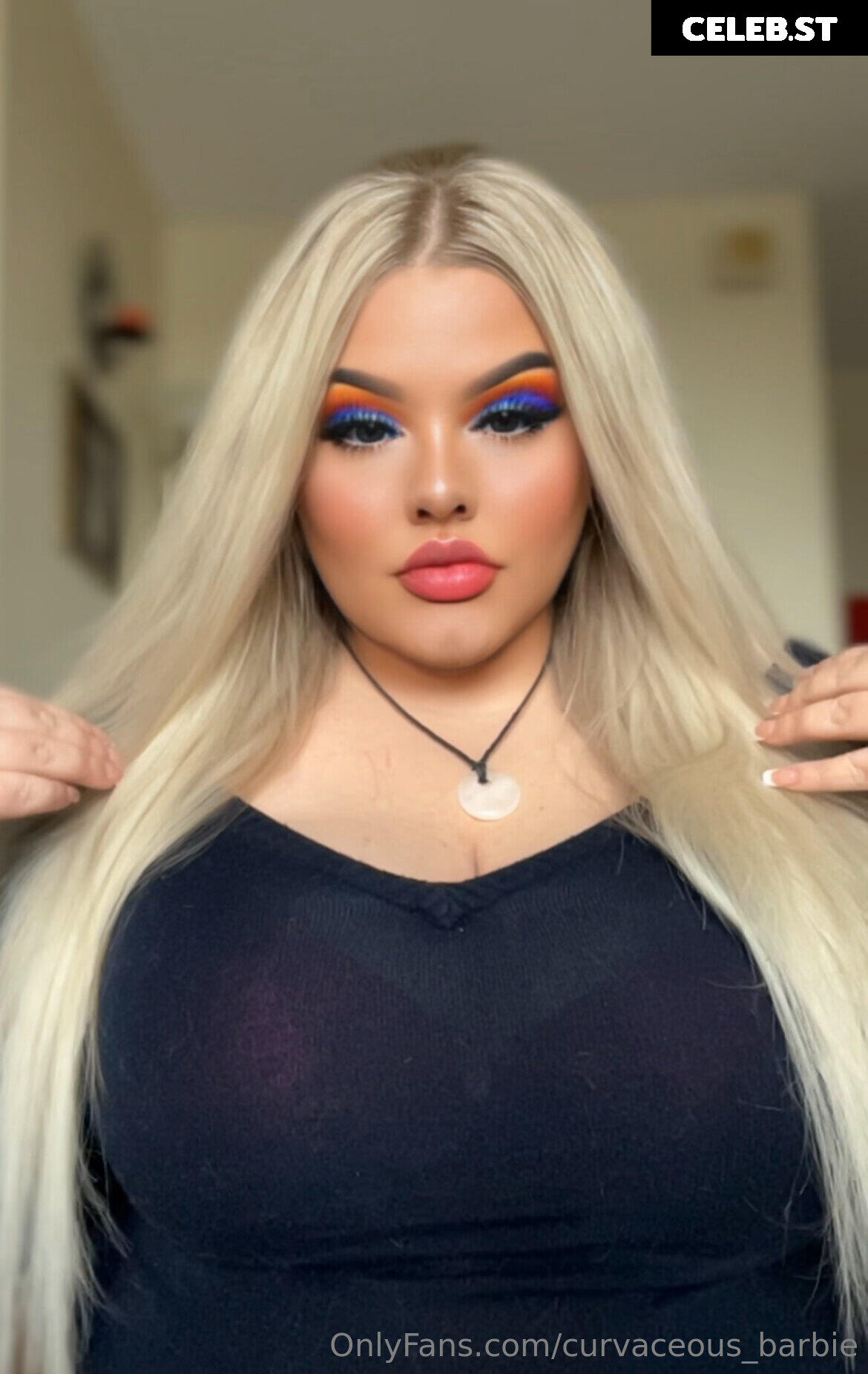curvaceous_barbie Image 13574691