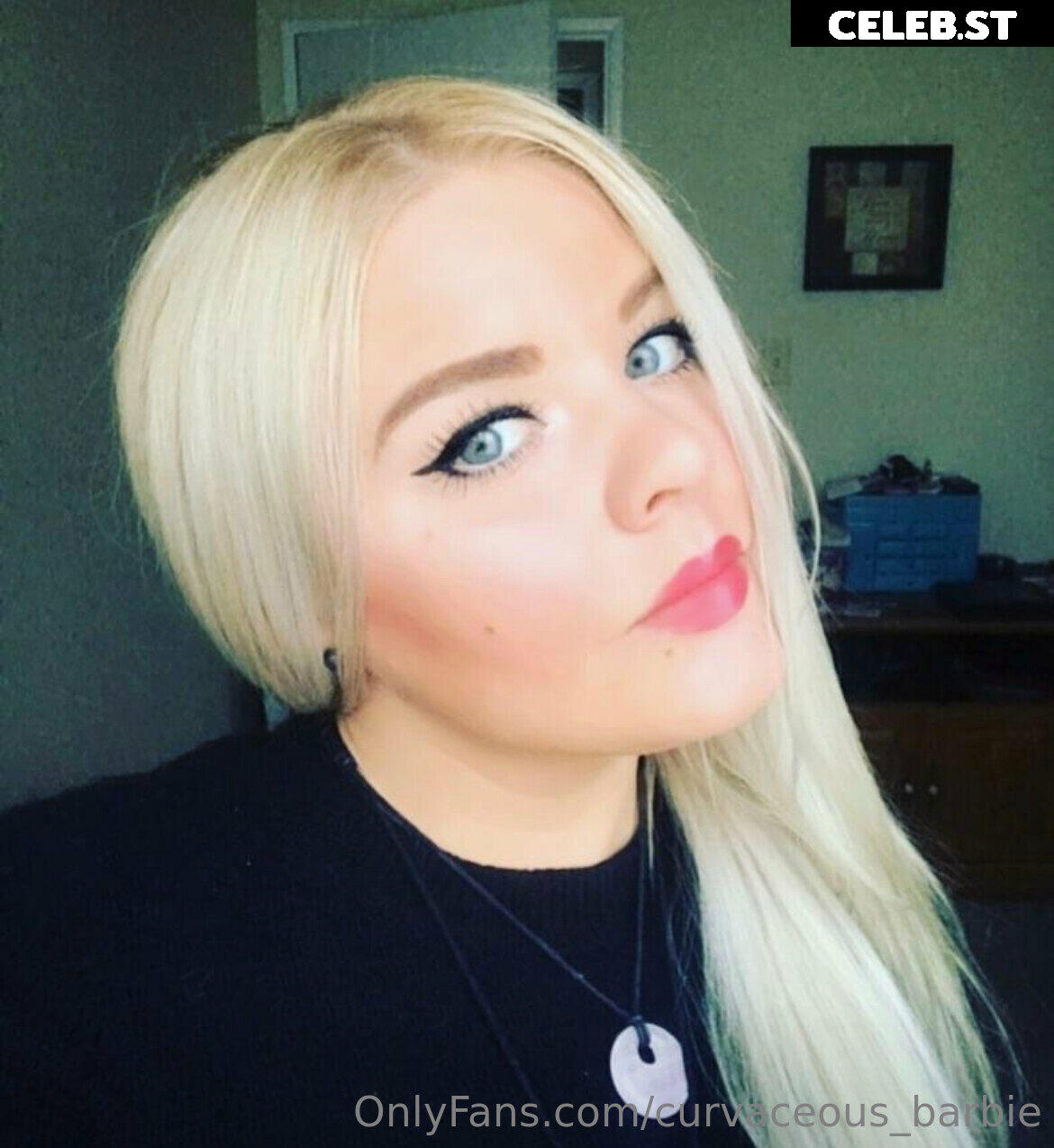 curvaceous_barbie Image 13576519