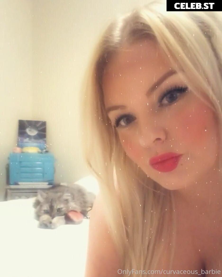 curvaceous_barbie Image 13584761