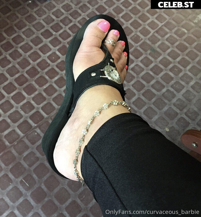 curvaceous_barbie Image 13582627