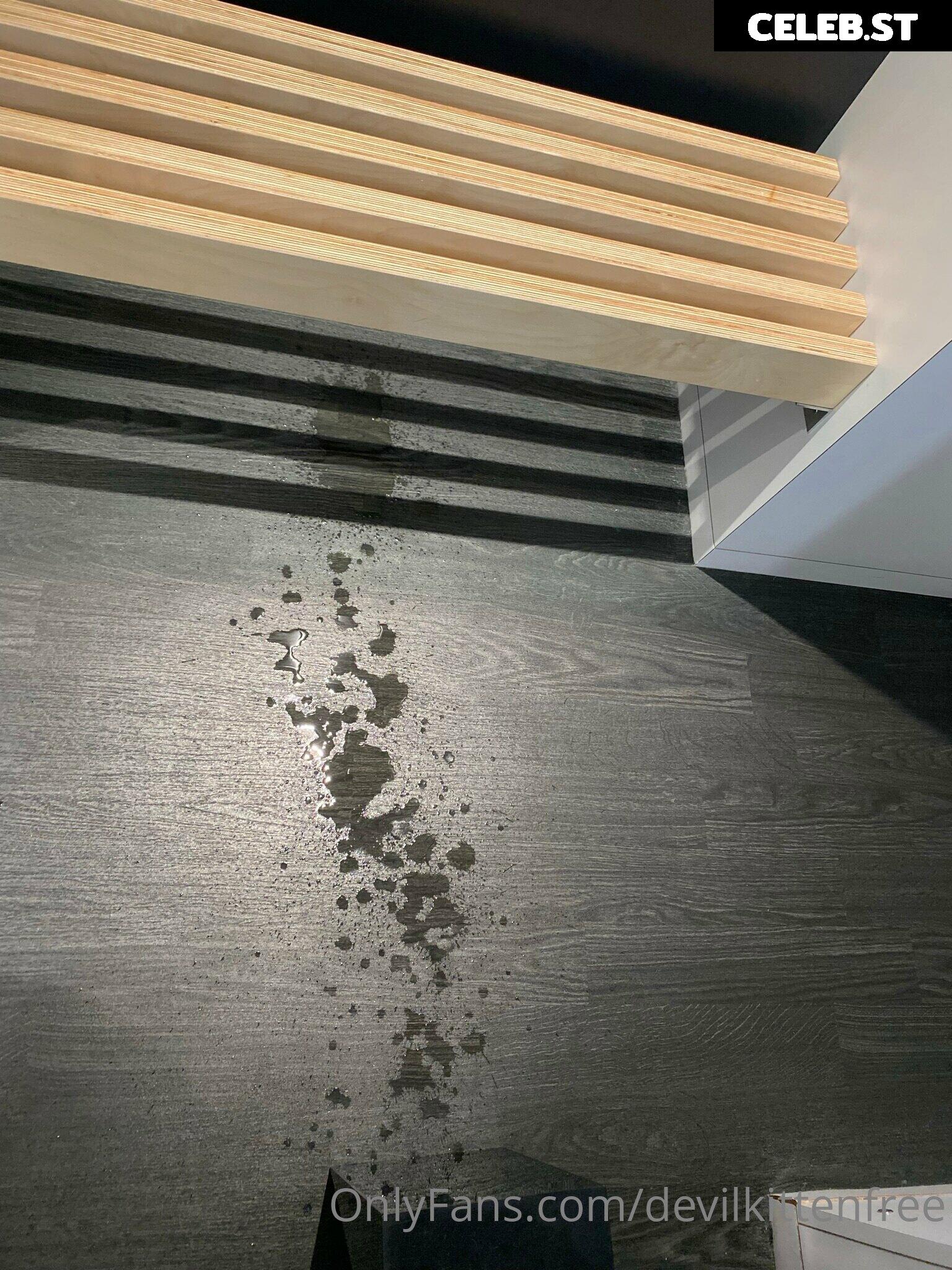 devilkittenfree Image 13424758