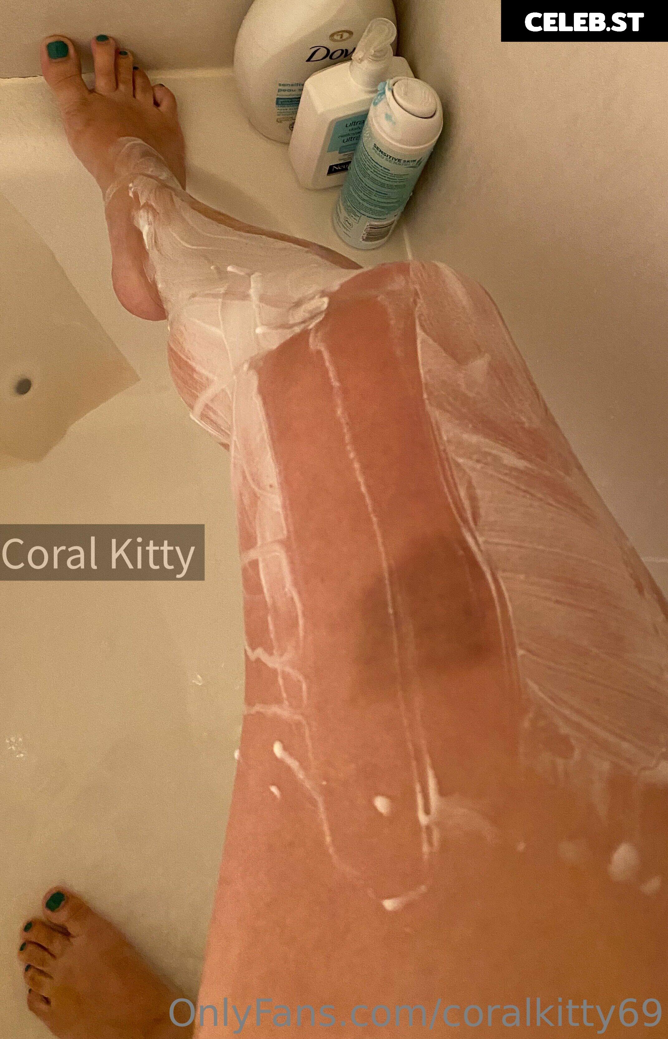 coralkitty69 Image 13406715