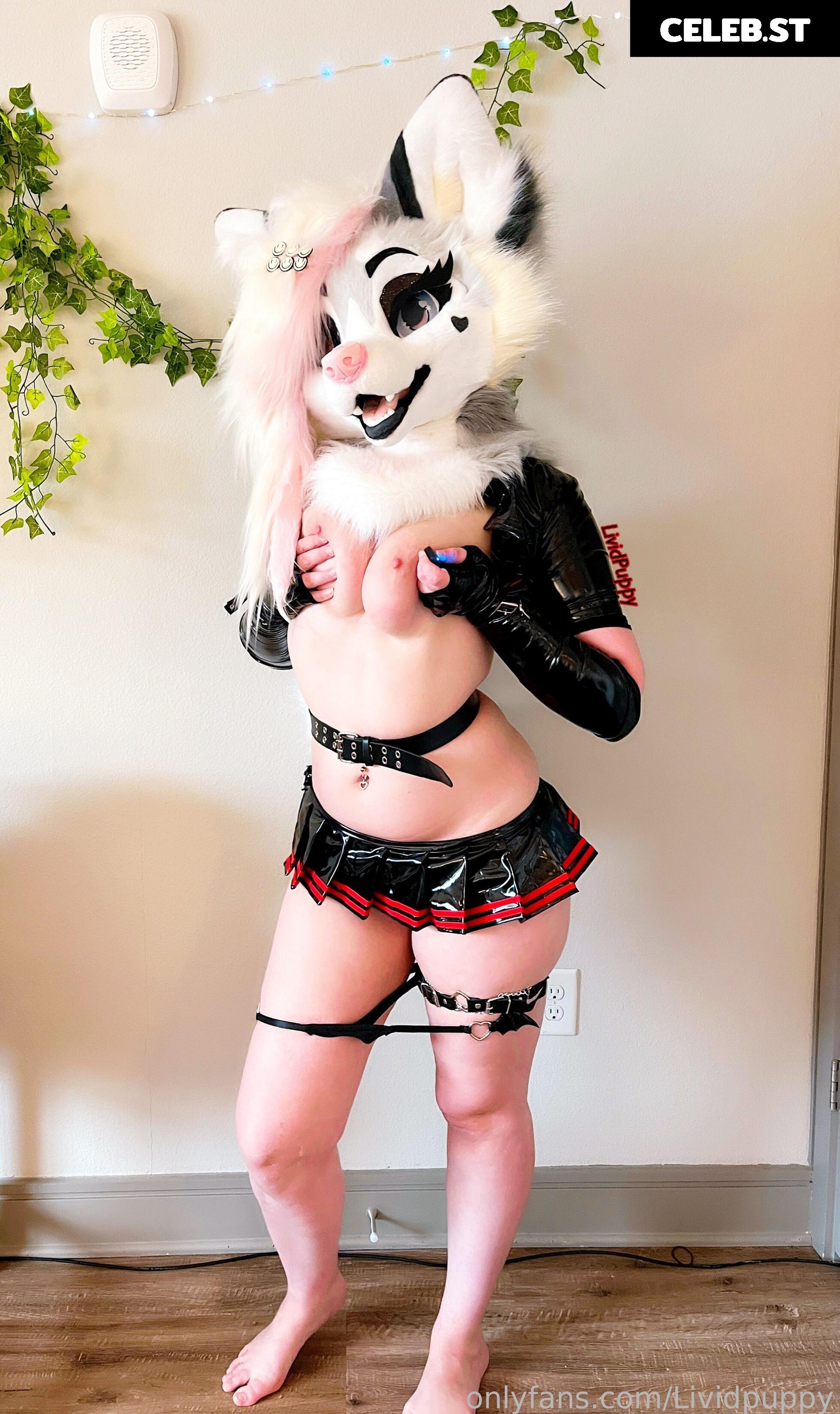 LividPuppy Image 13395826