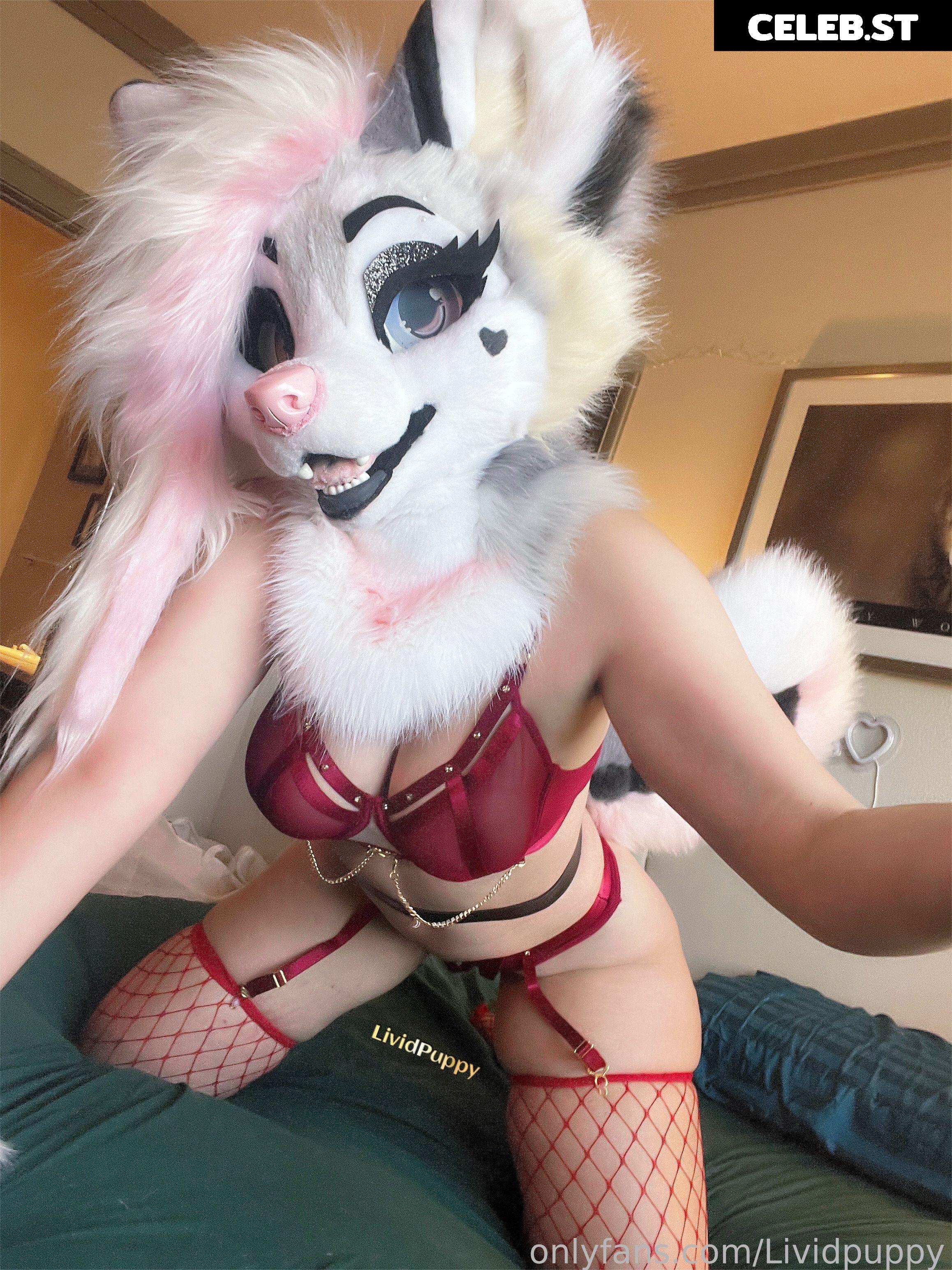 LividPuppy Image 13392482