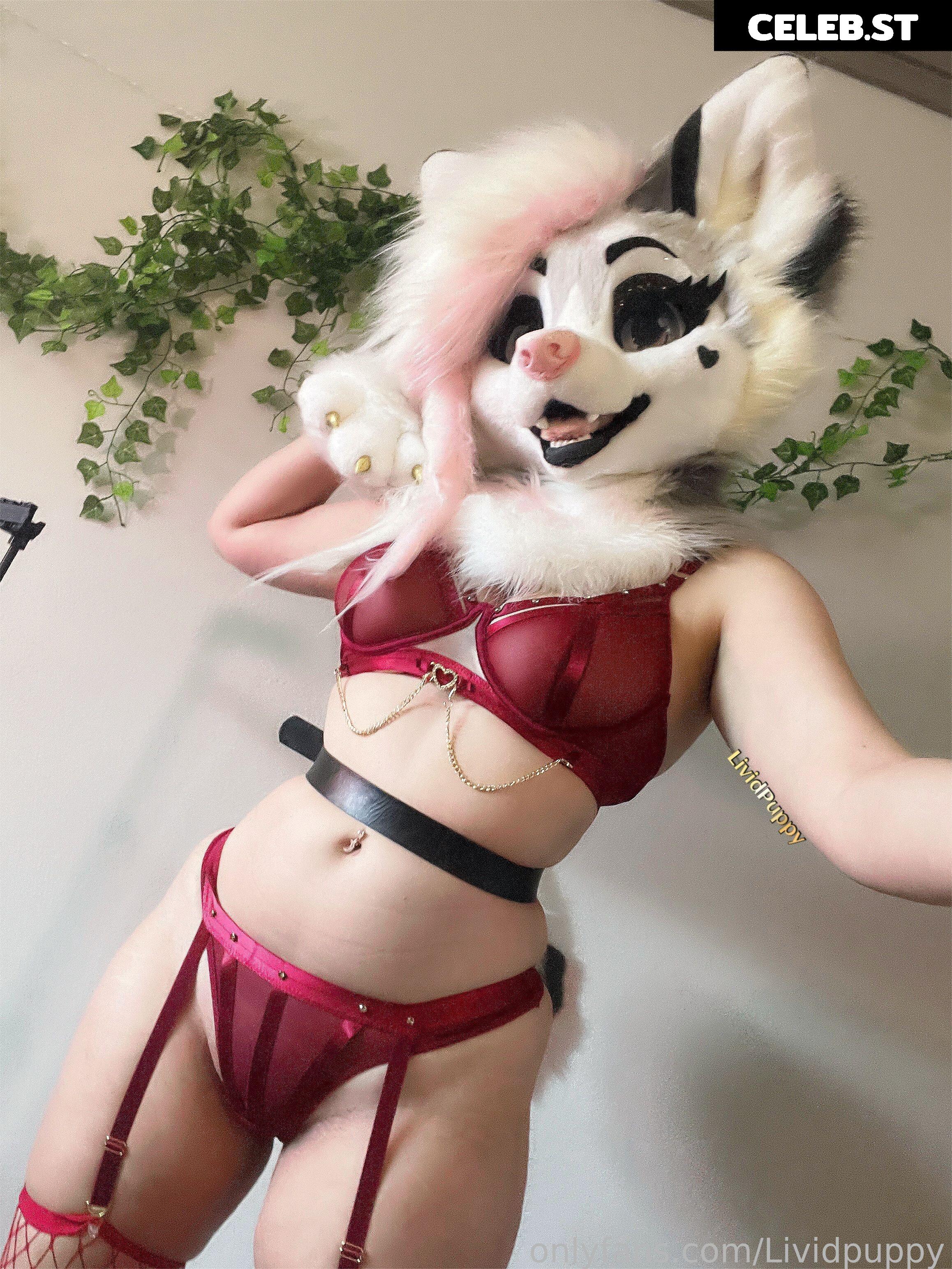 LividPuppy Image 13392458