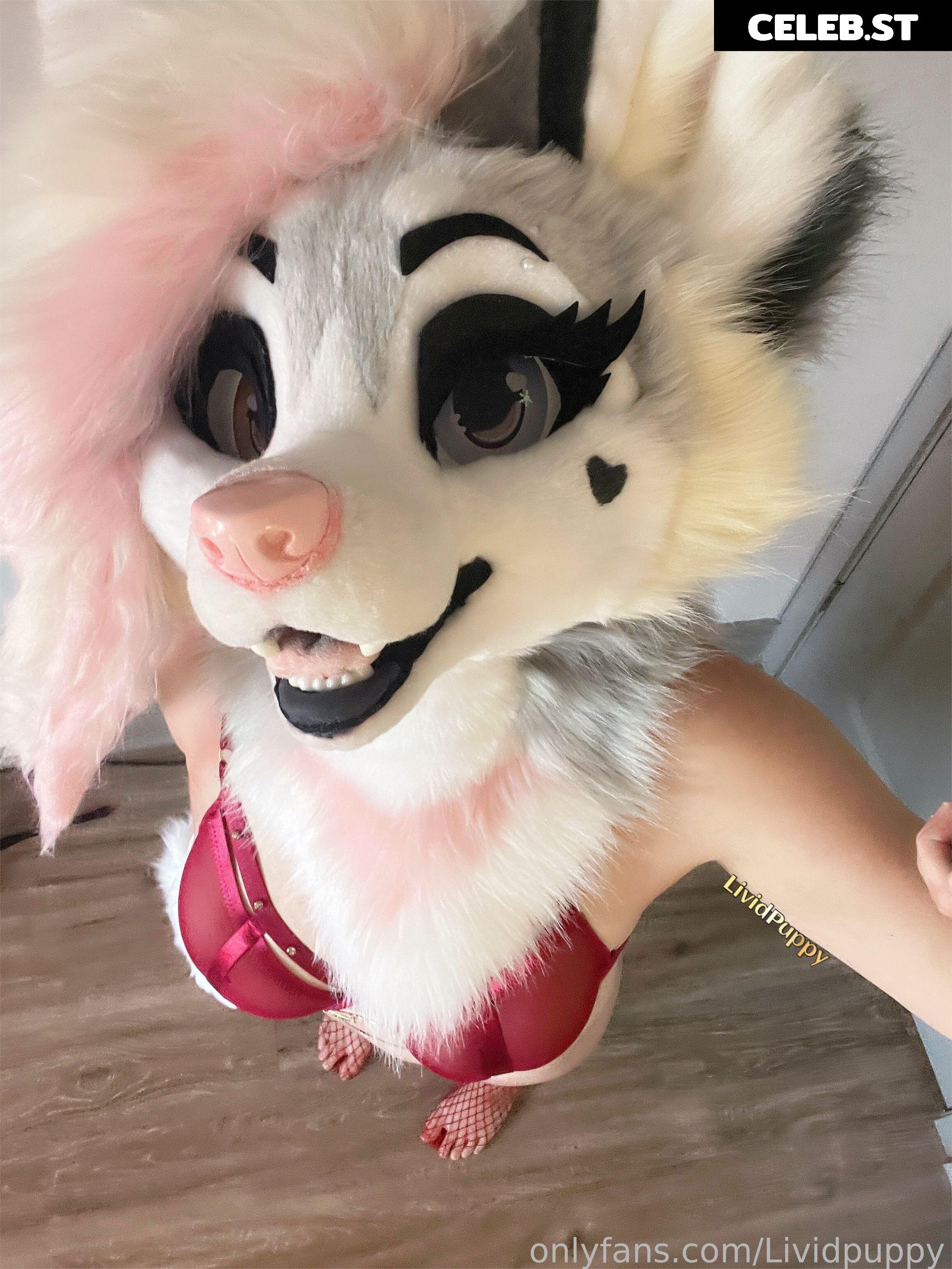 LividPuppy Image 13392392