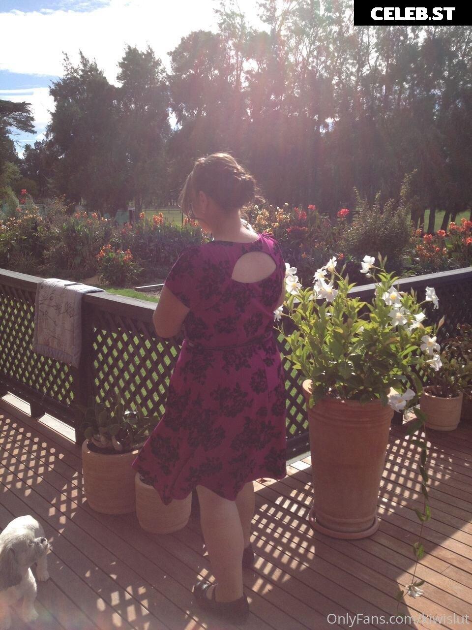 kiwifree Image 18568634