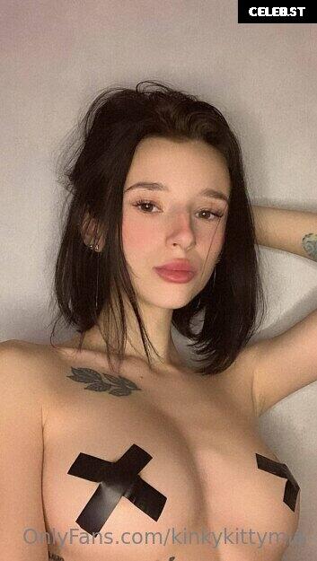kinkykittymia Image 18510534