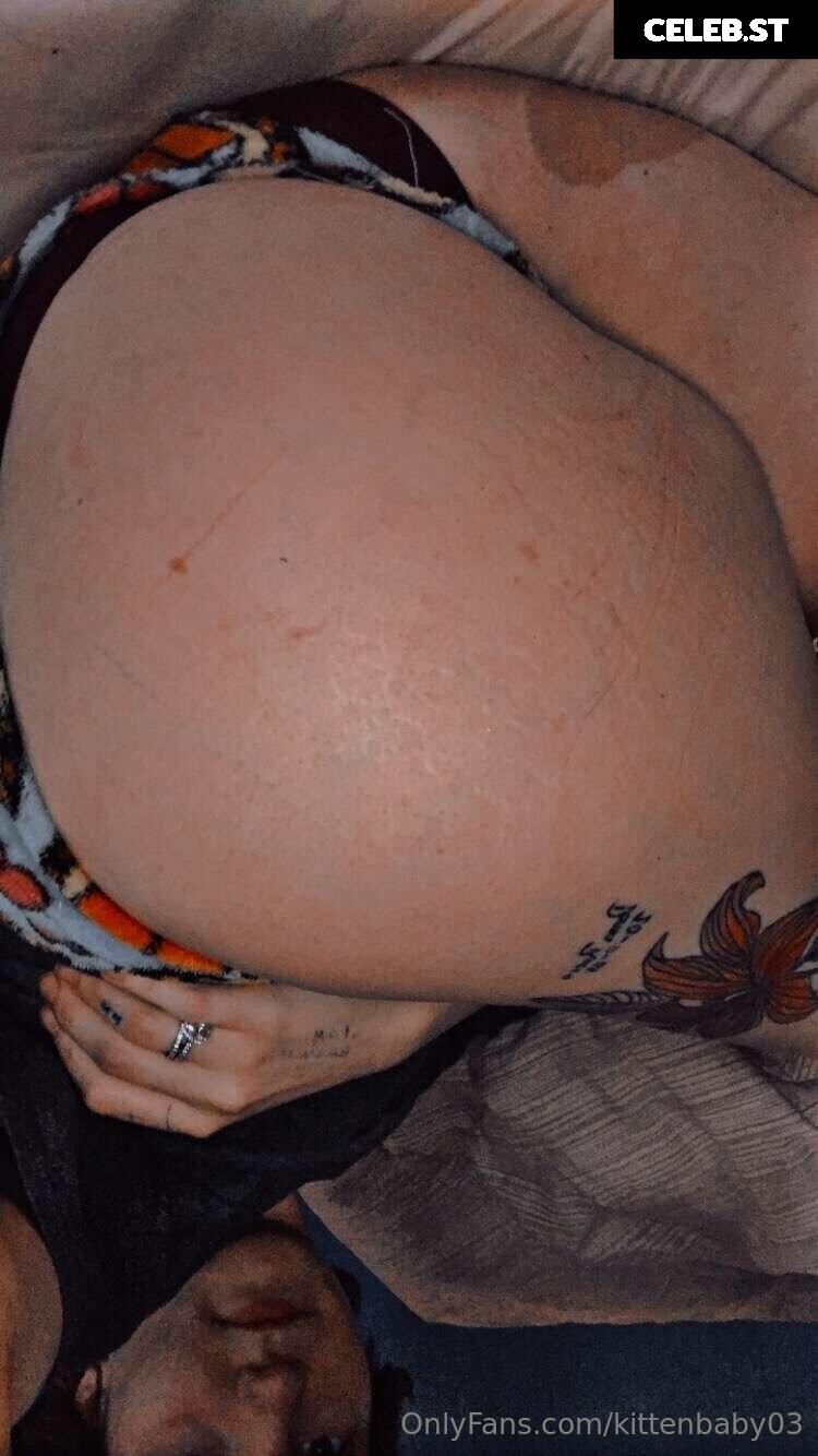 kittenbaby03 Image 18513977