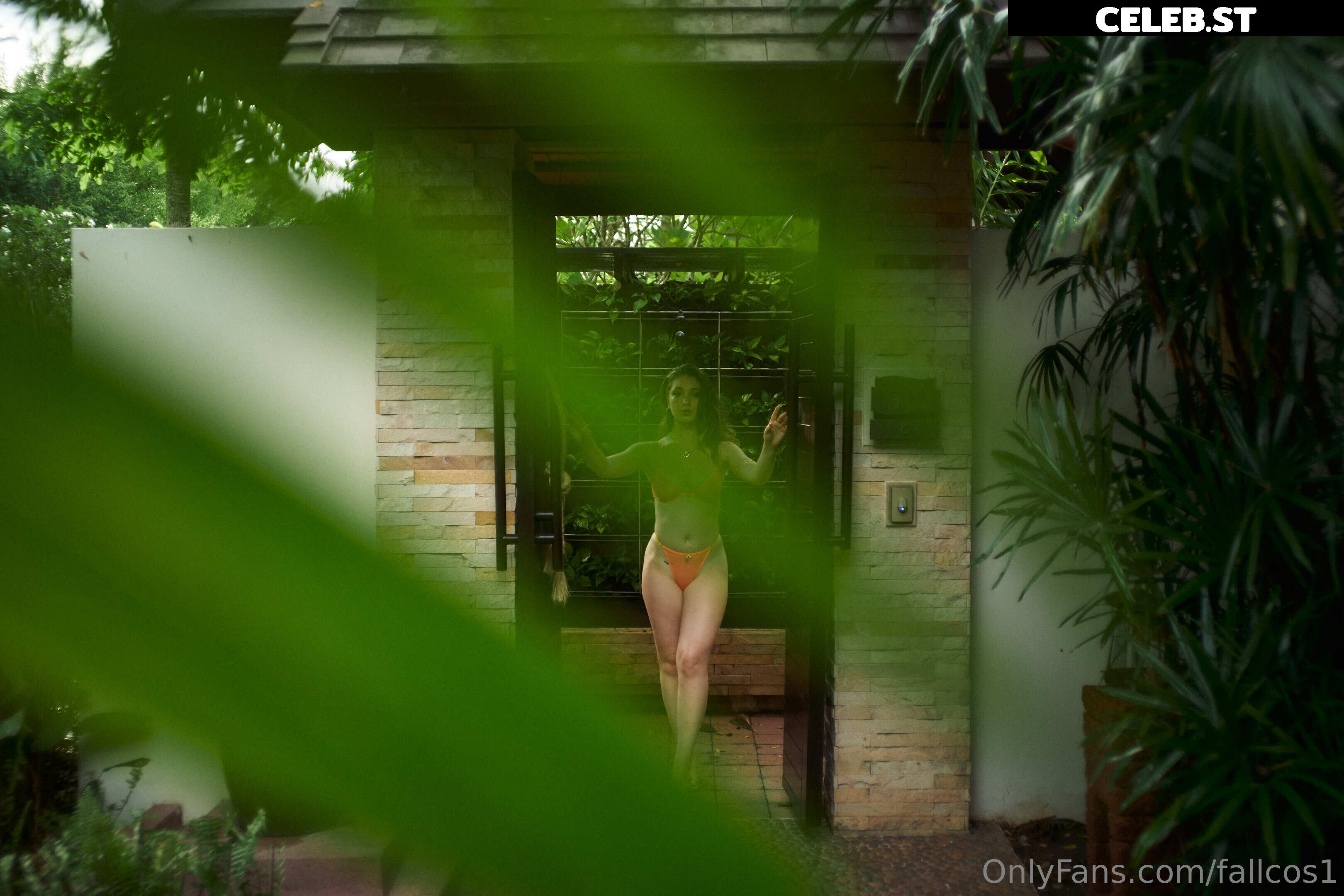 fallcos1 Image 1852285