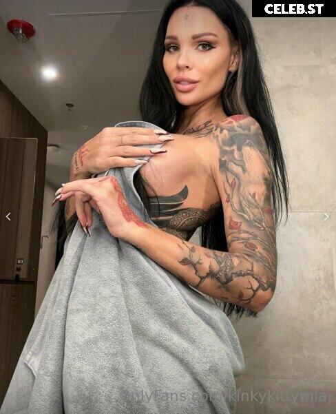 kinkykittymia Image 18509507