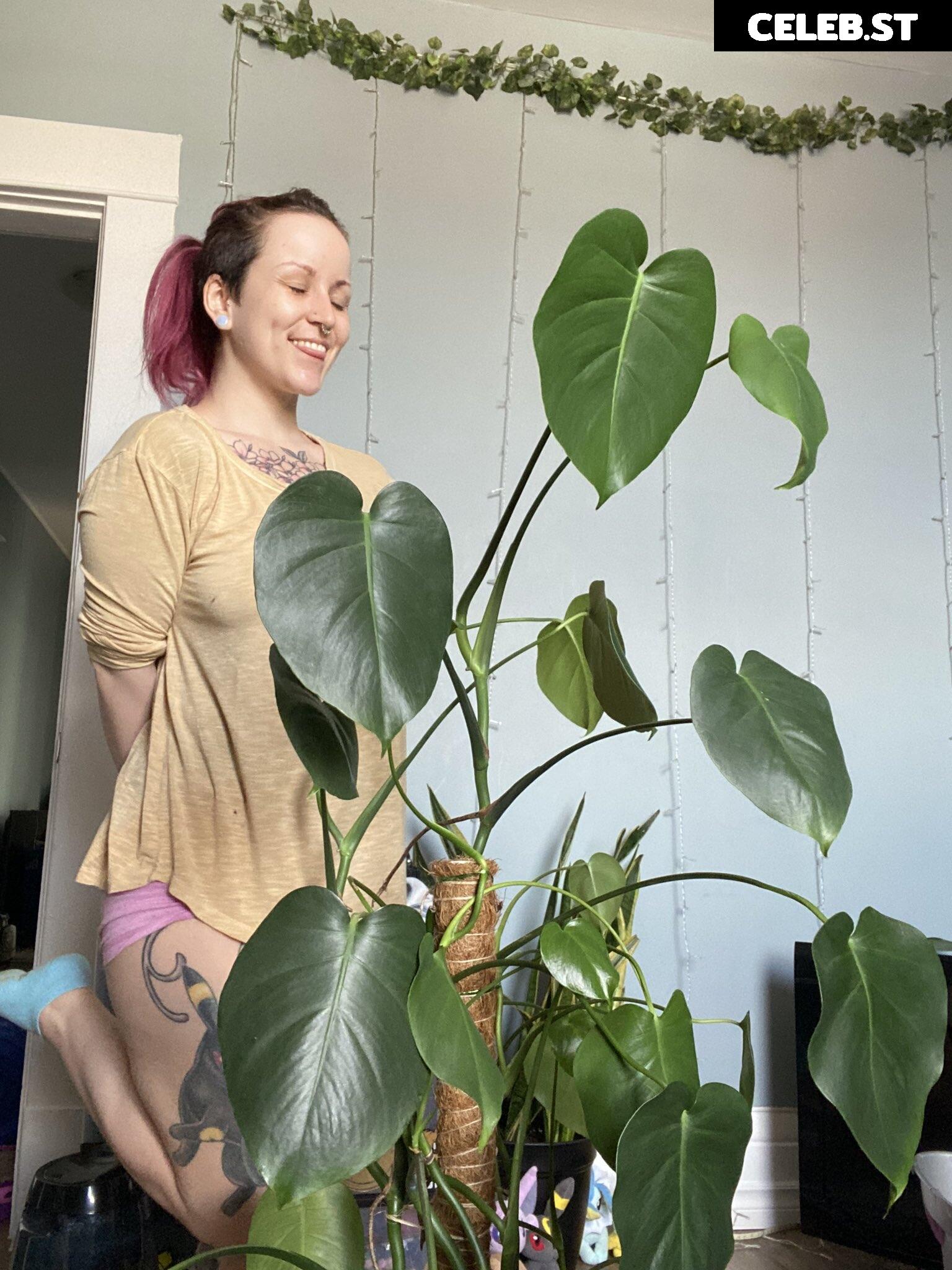 TinyToni Image 1858864