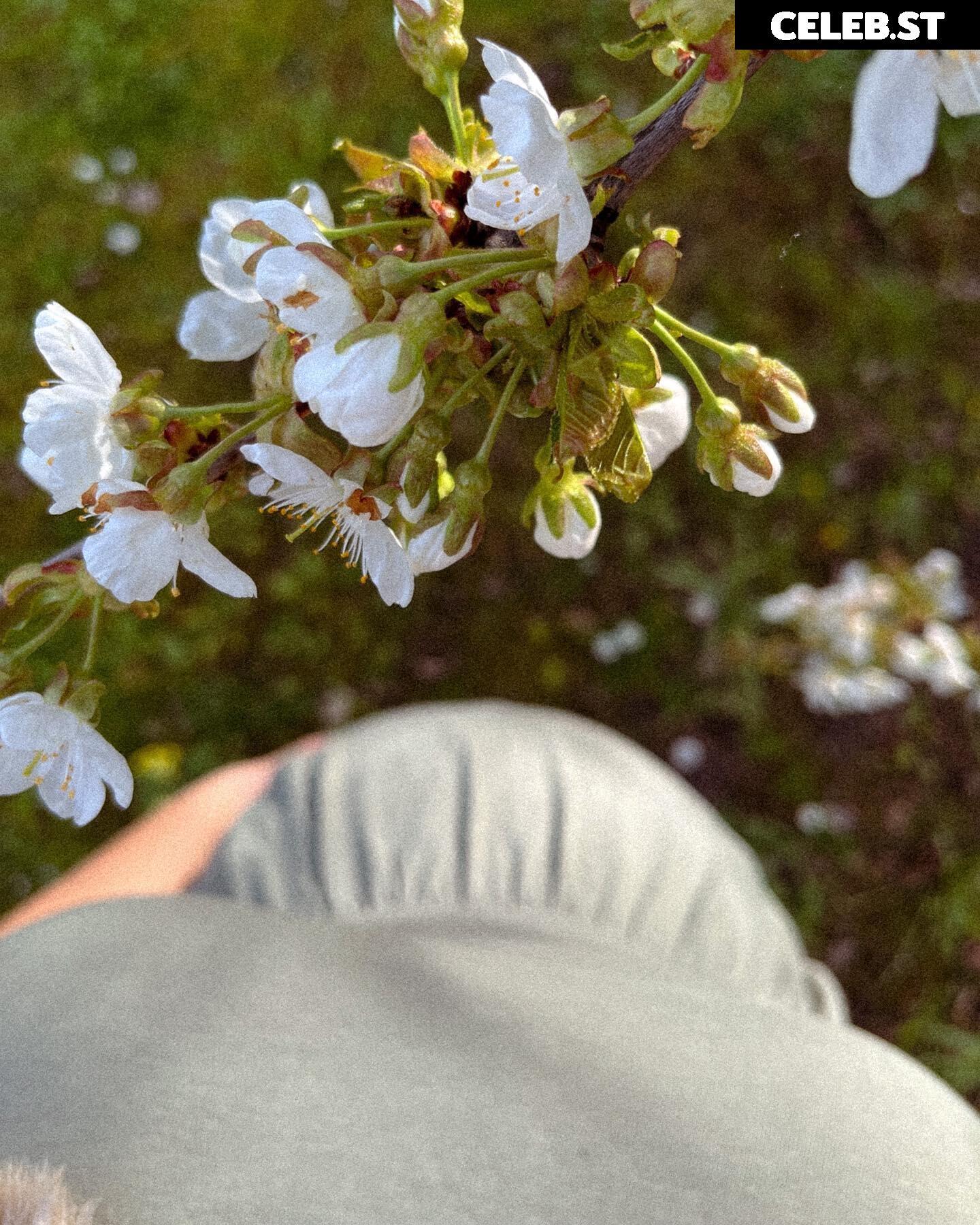 _abcdesi_ Image 1845802