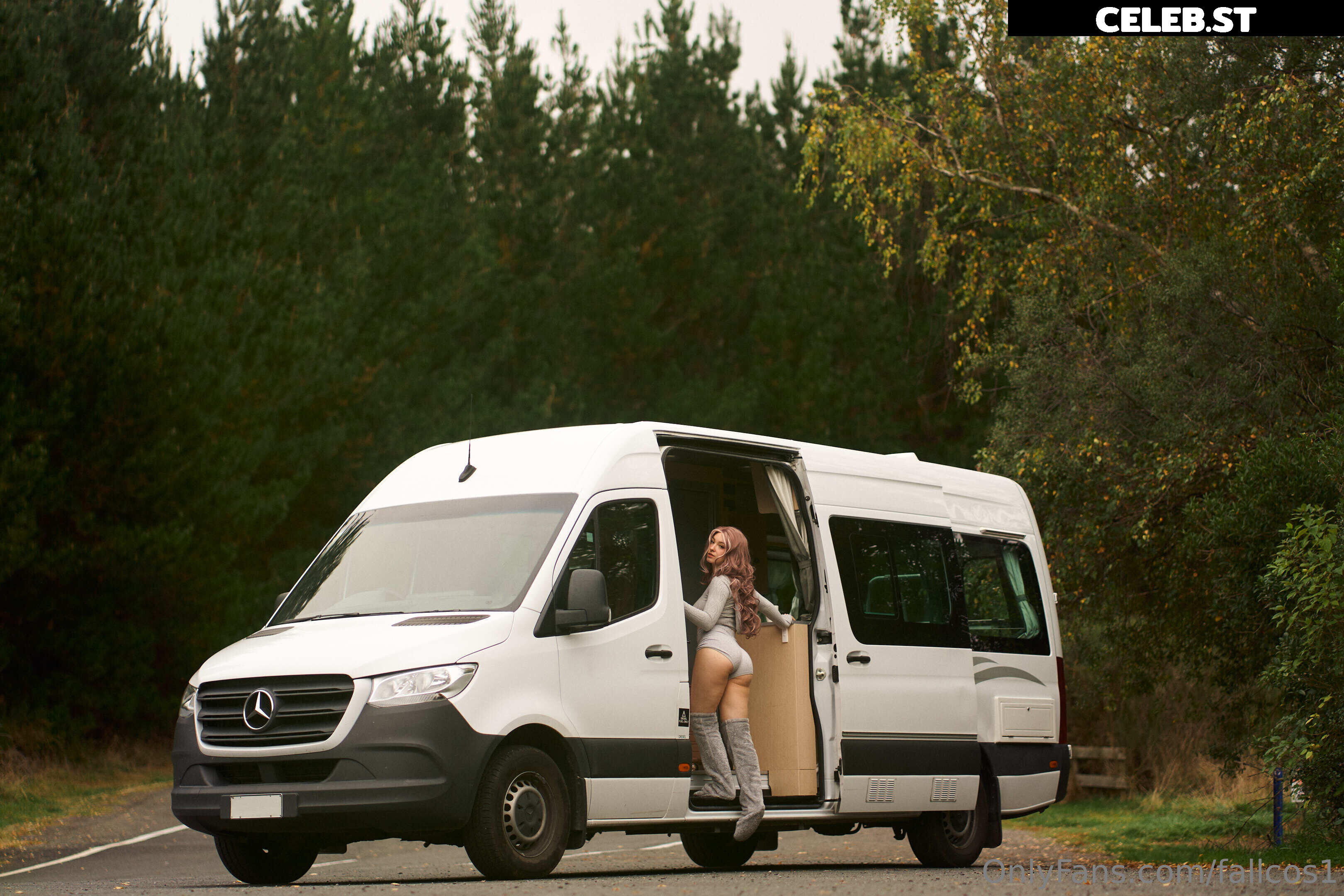 fallcos1 Image 1840759