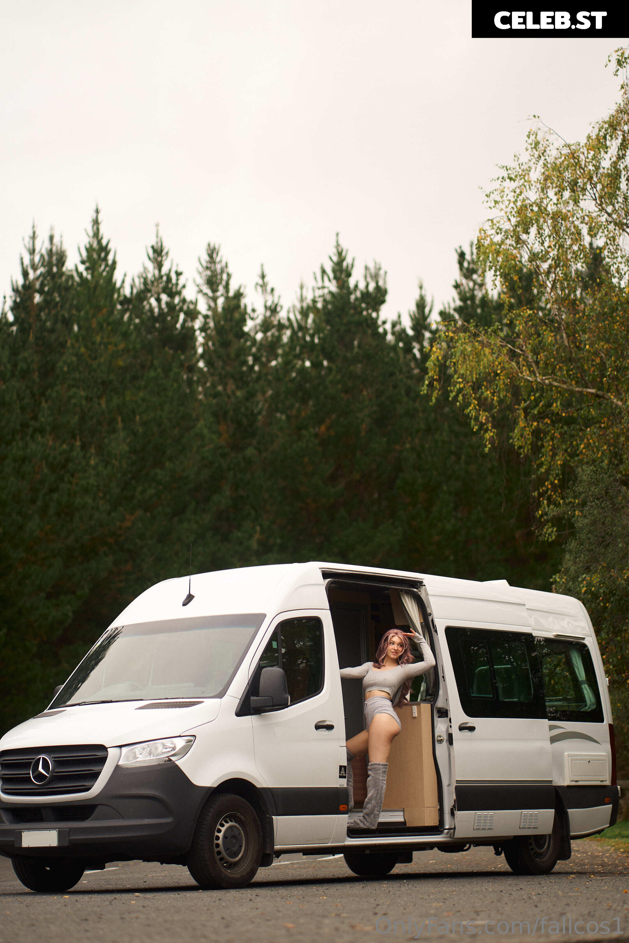 fallcos1 Image 1840635