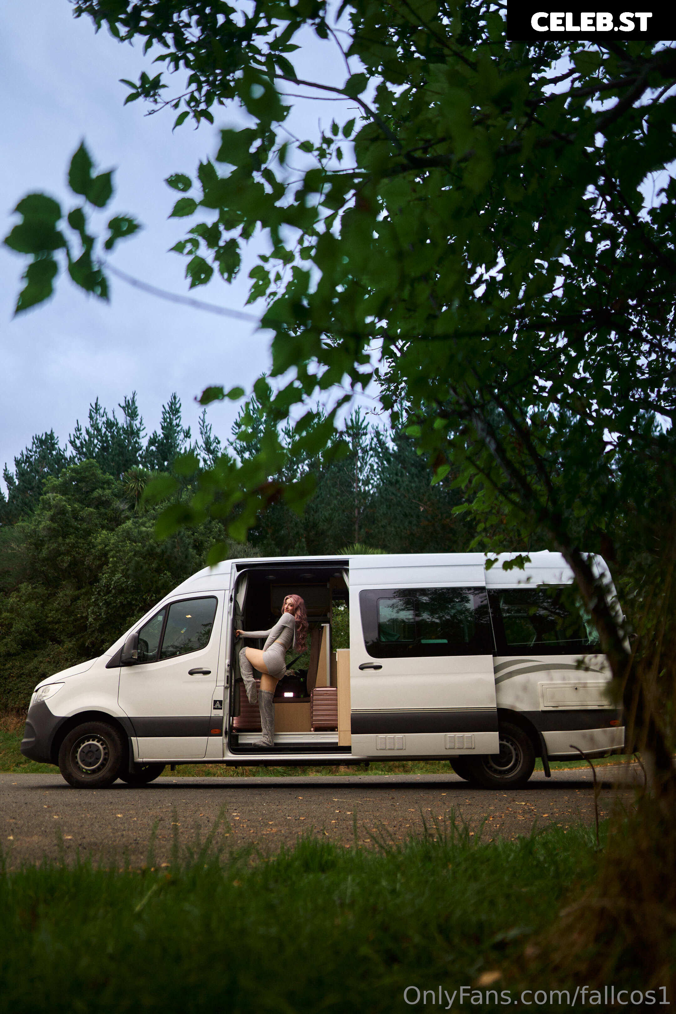 fallcos1 Image 1840021