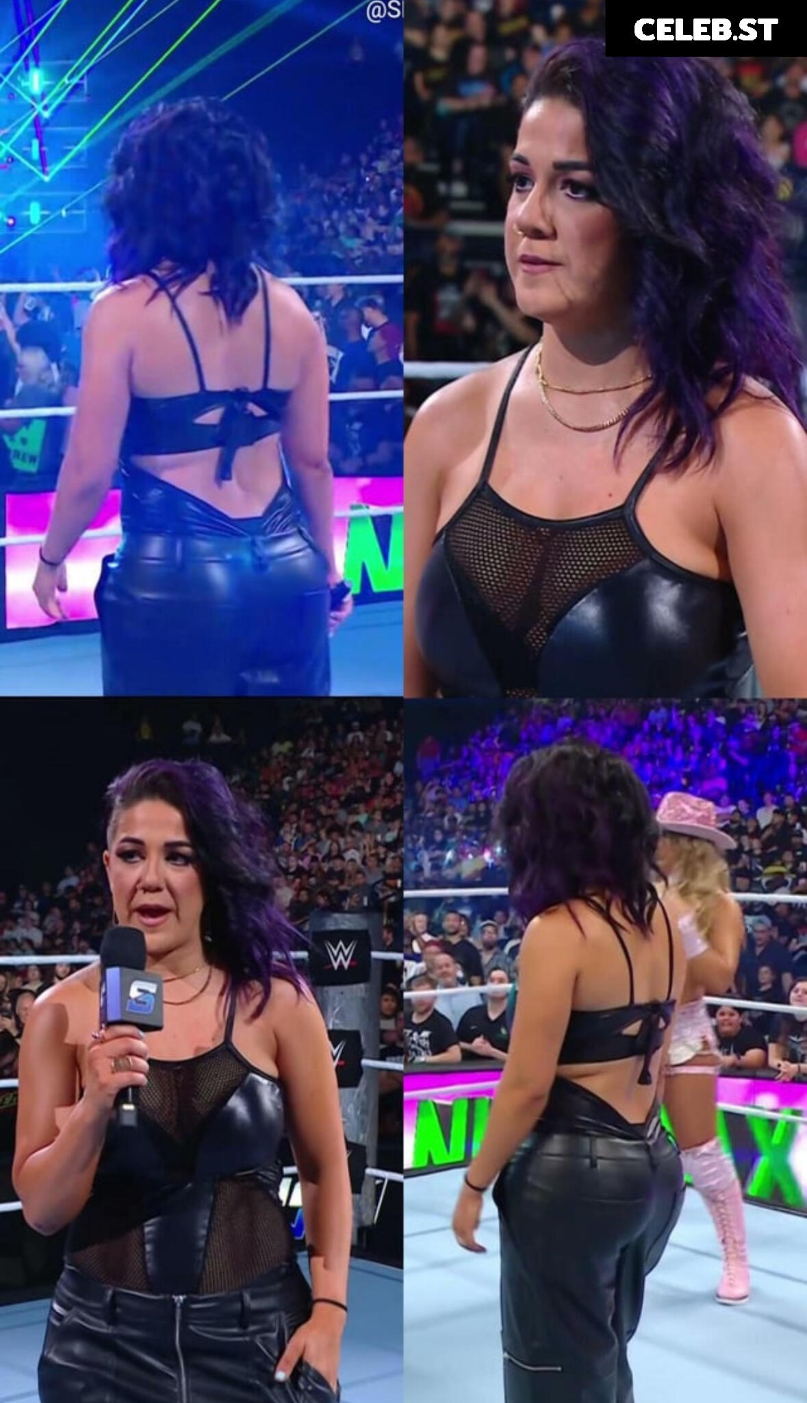 Bayley Image 1834571