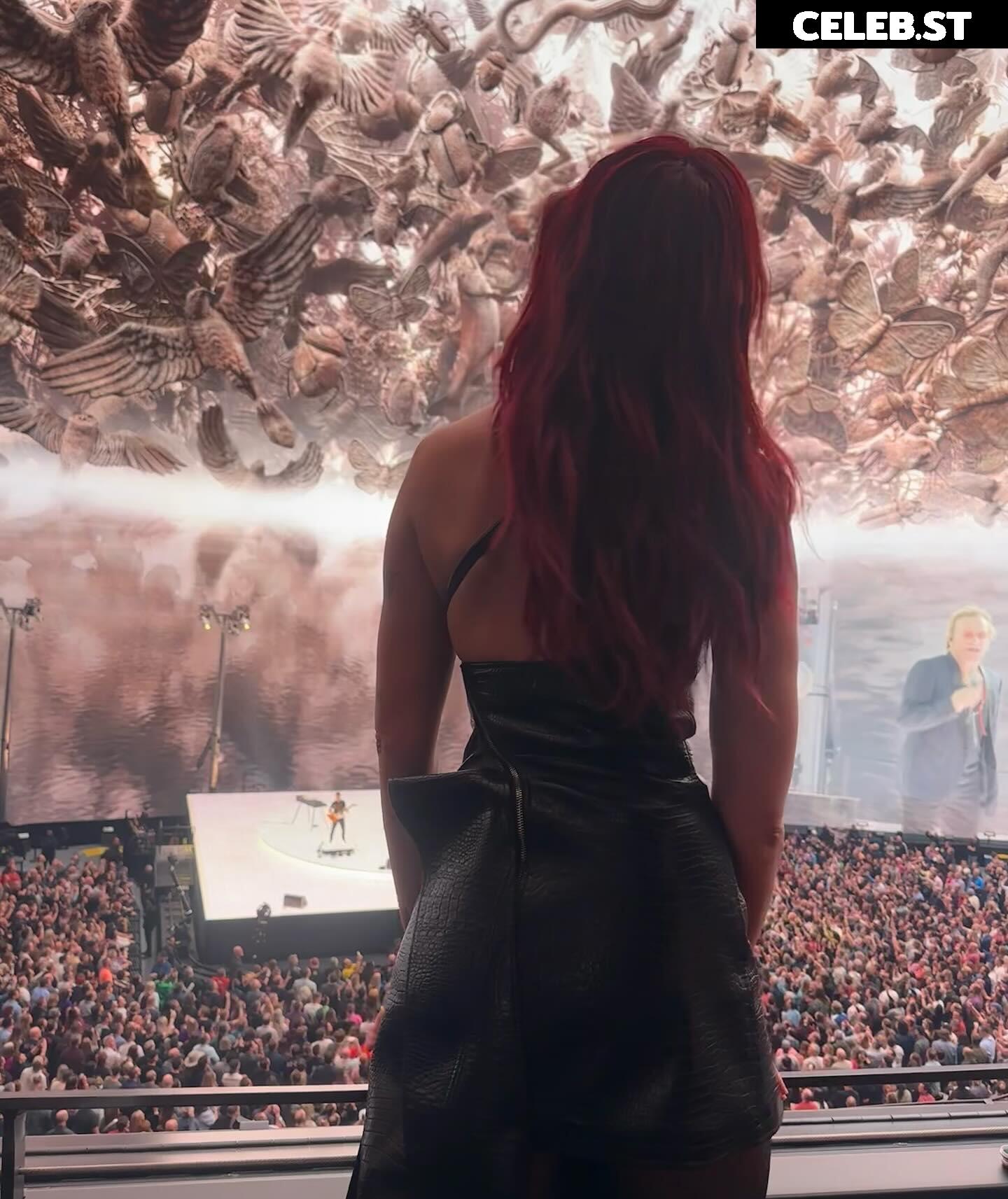 Dua Lipa Image 1831252